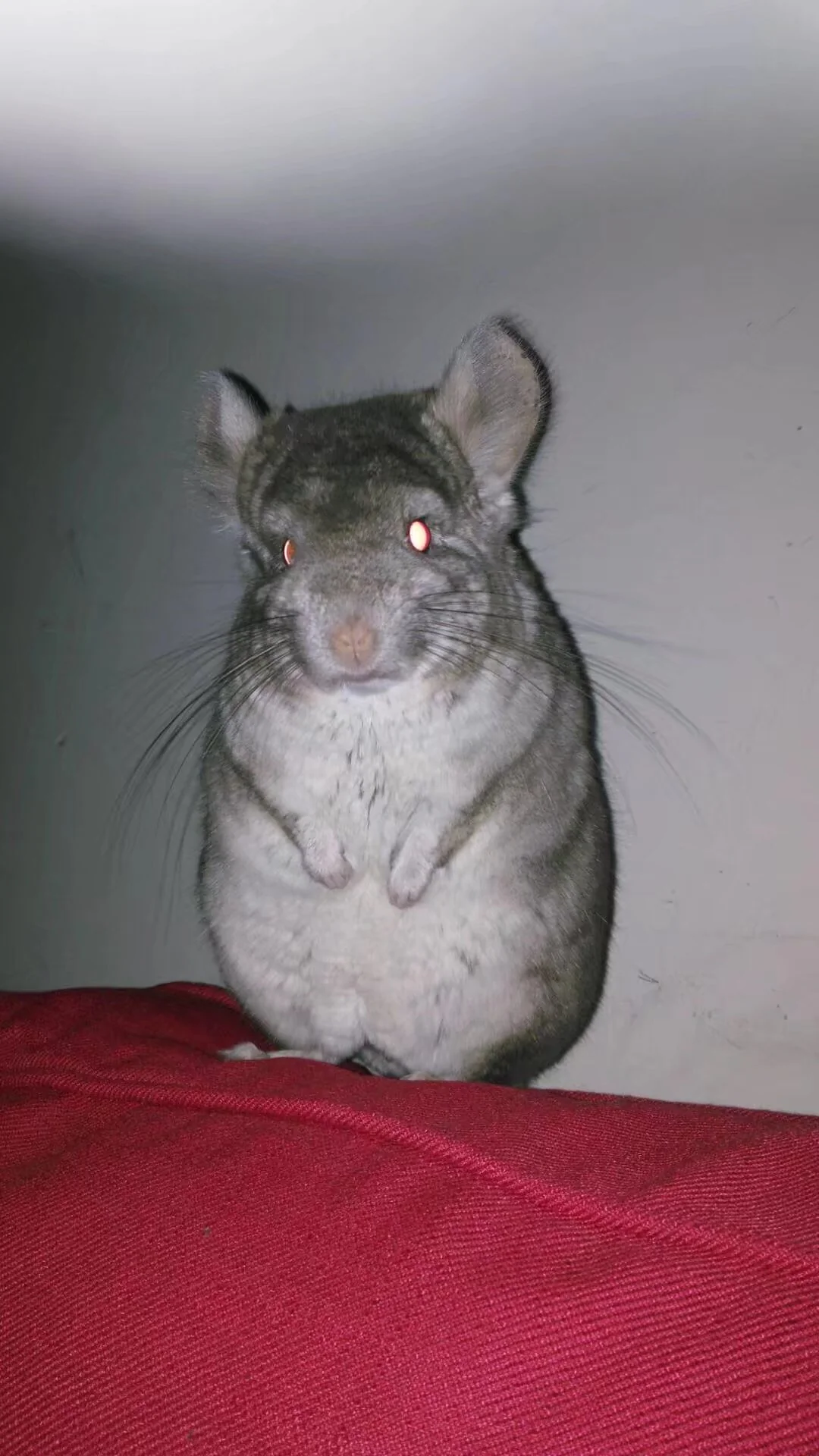もっと見る