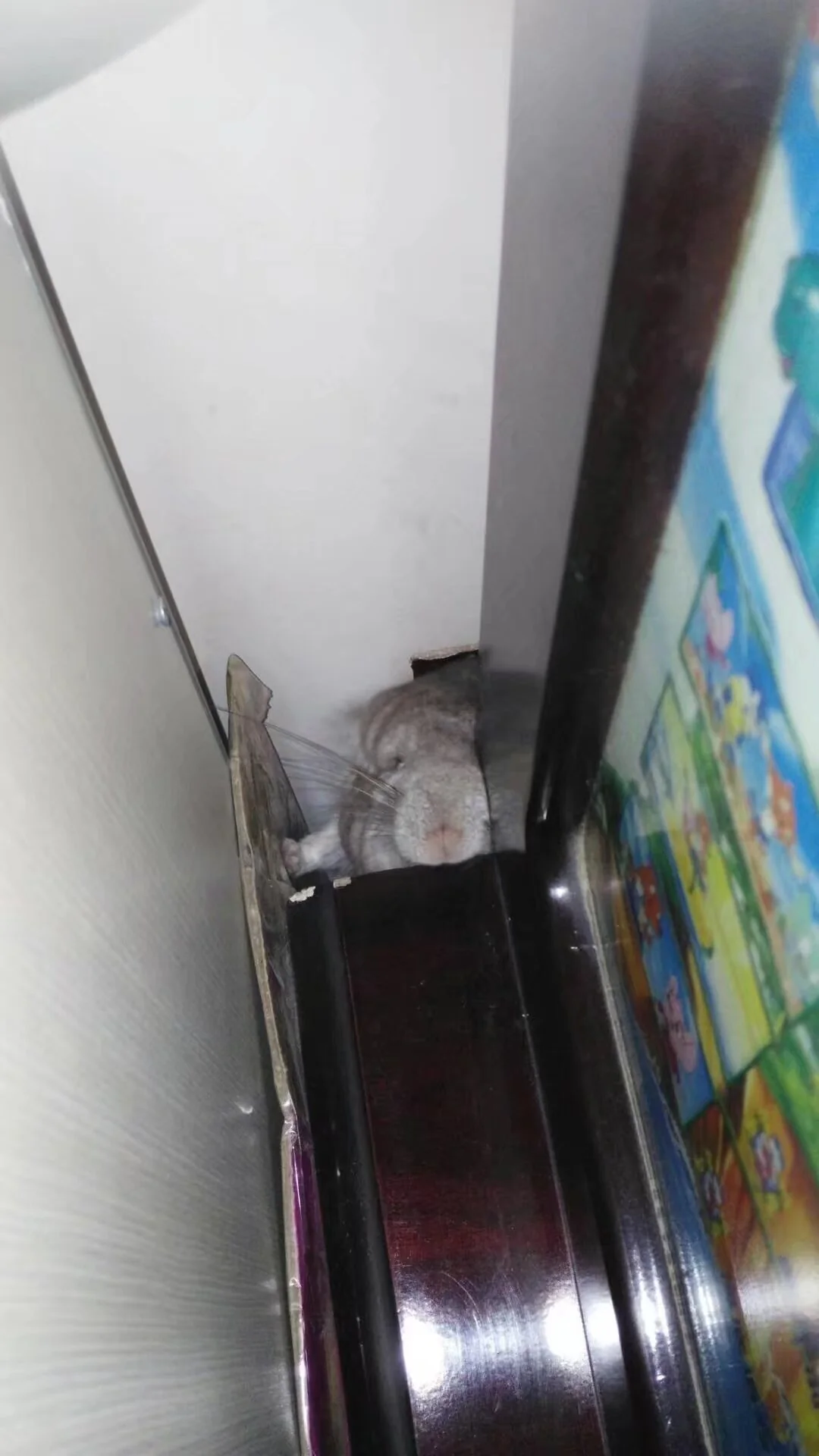 もっと見る