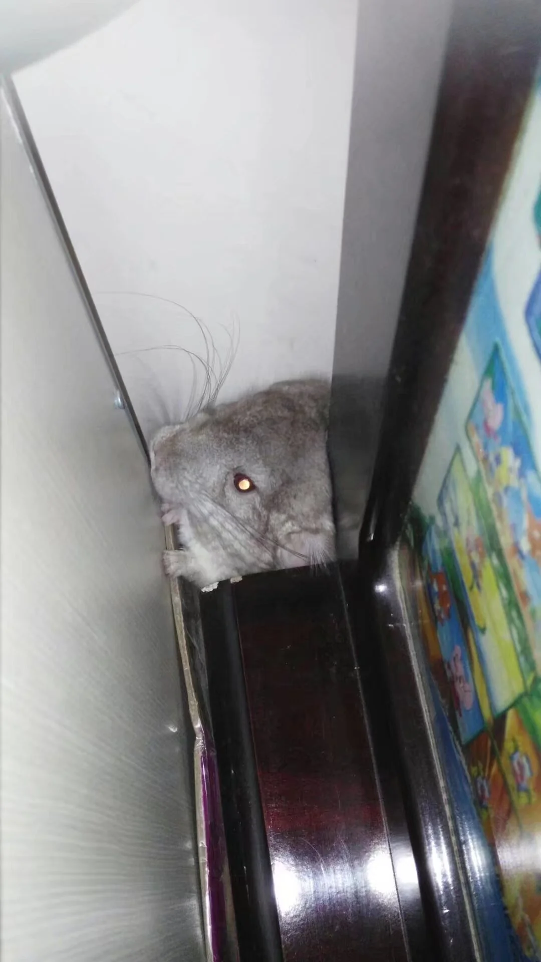 もっと見る