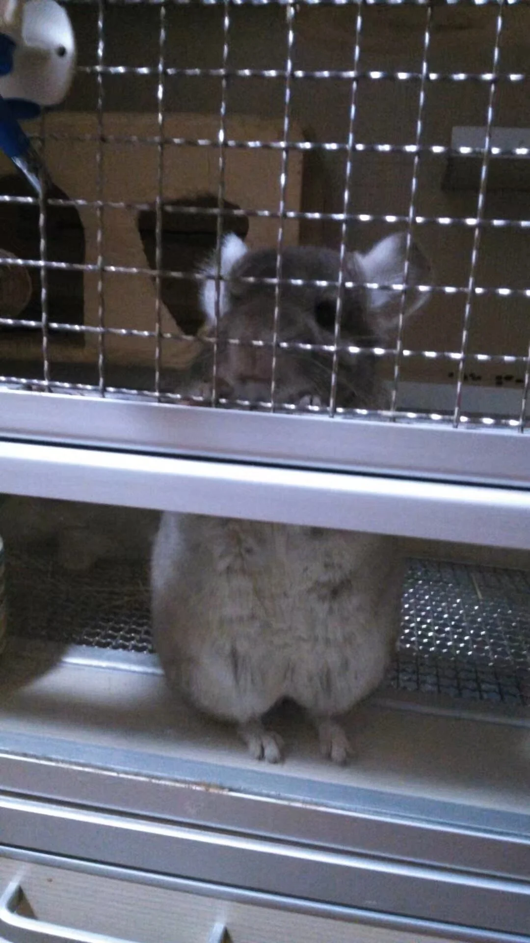 もっと見る