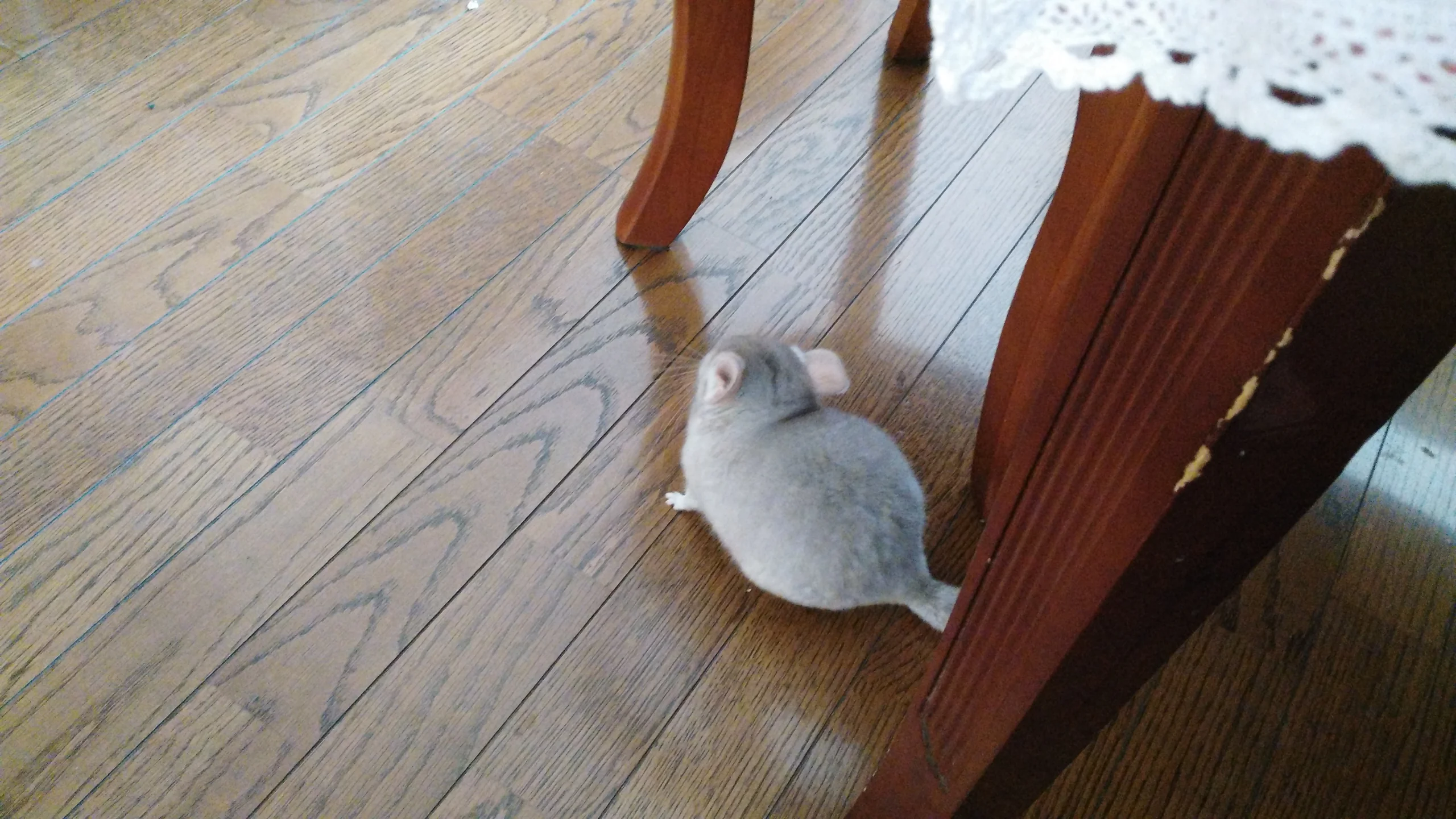 もっと見る