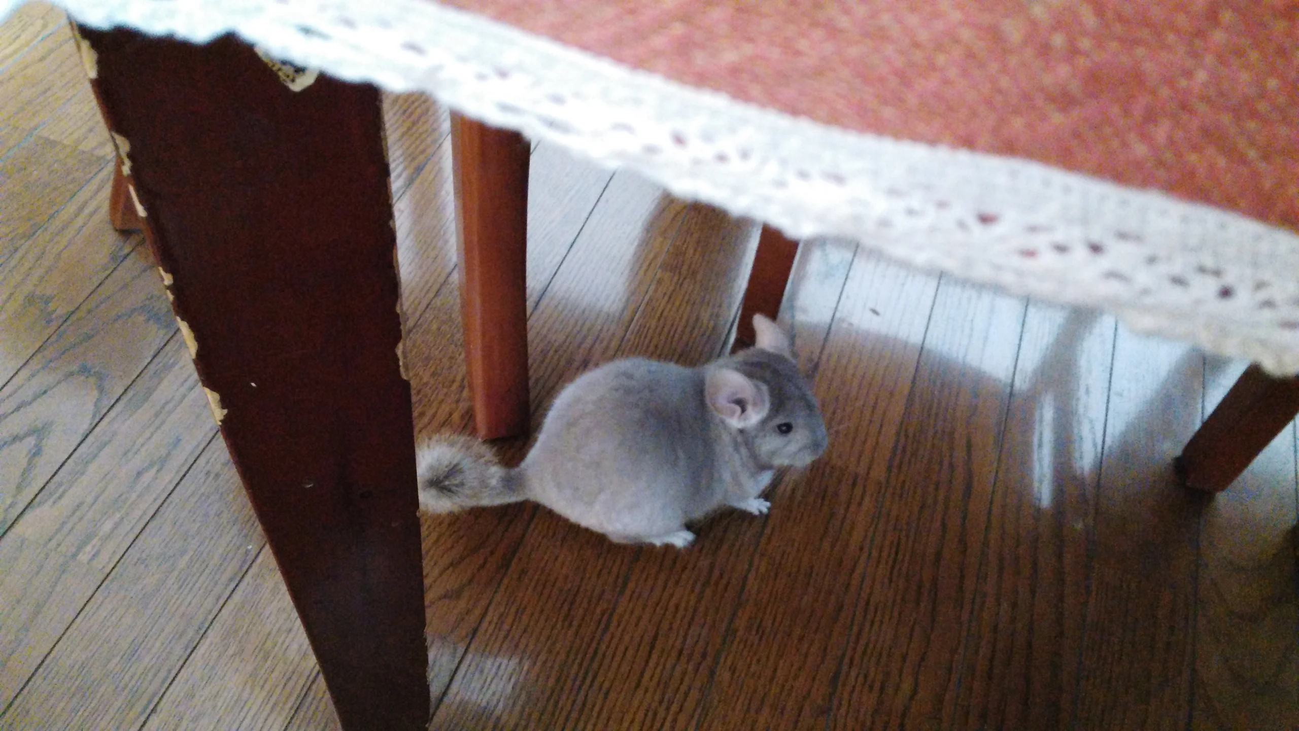 もっと見る