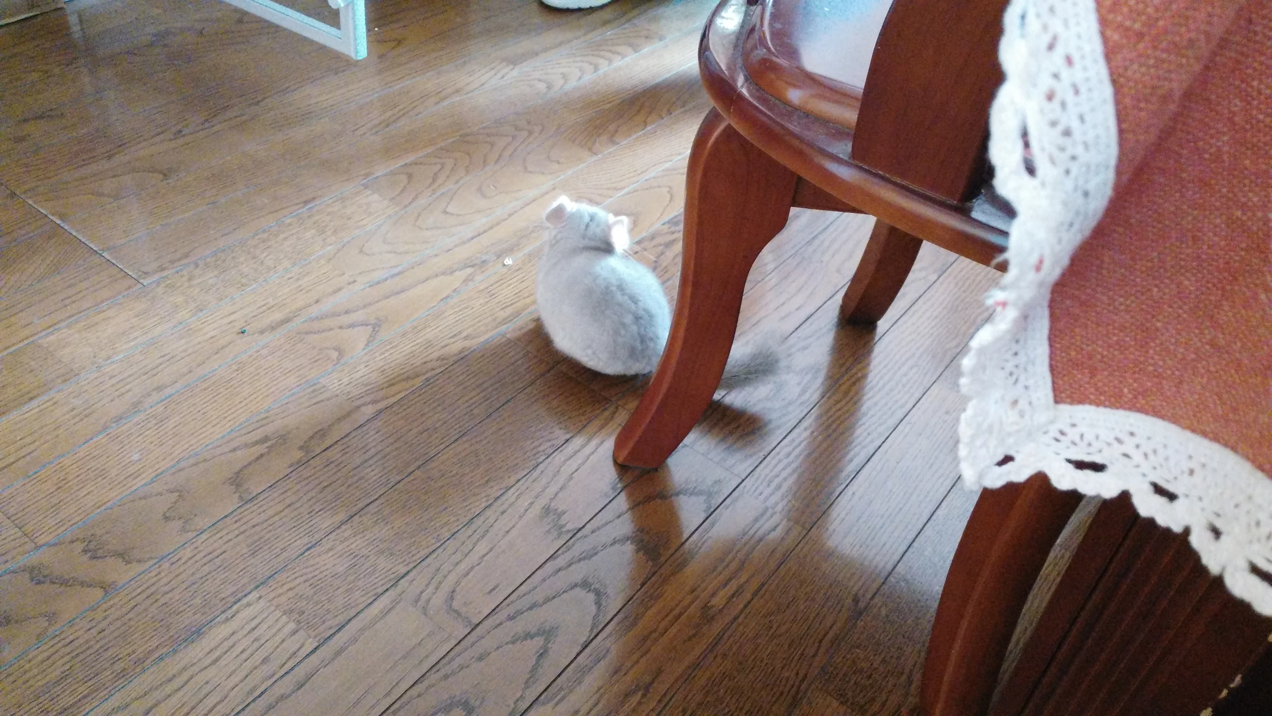 もっと見る