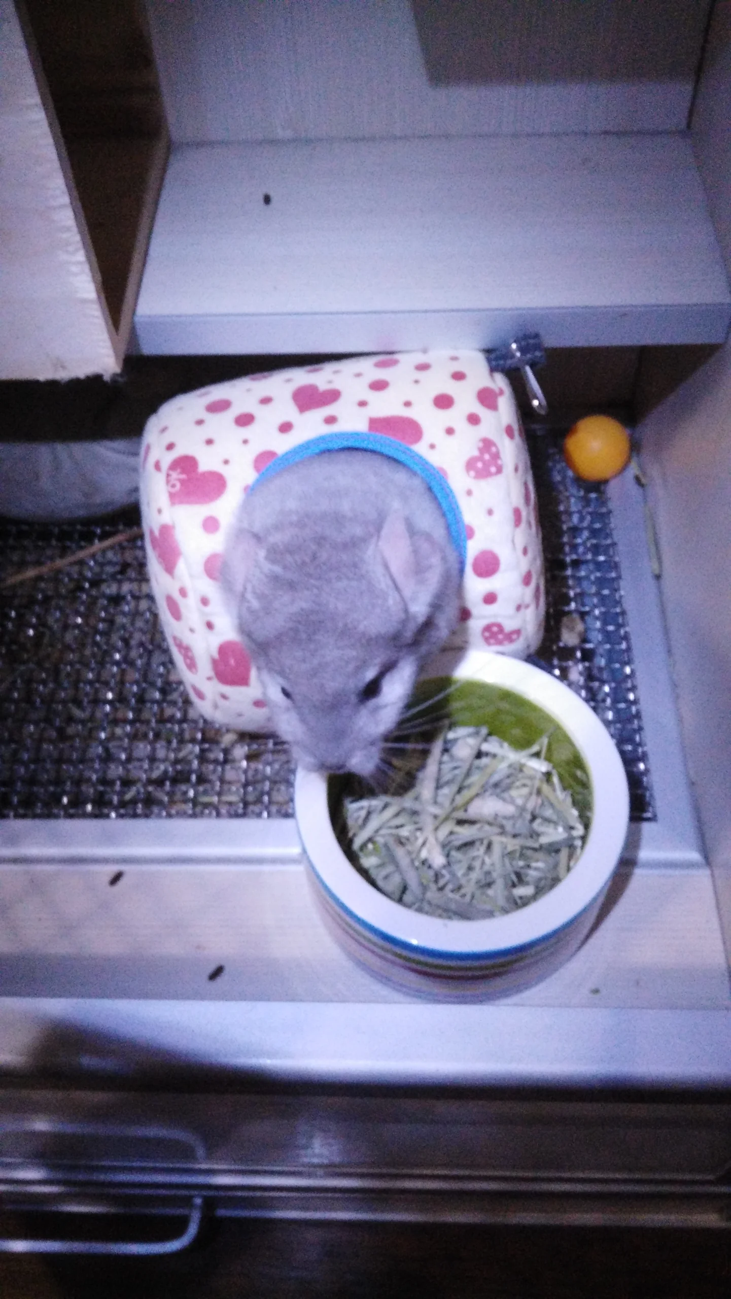 もっと見る