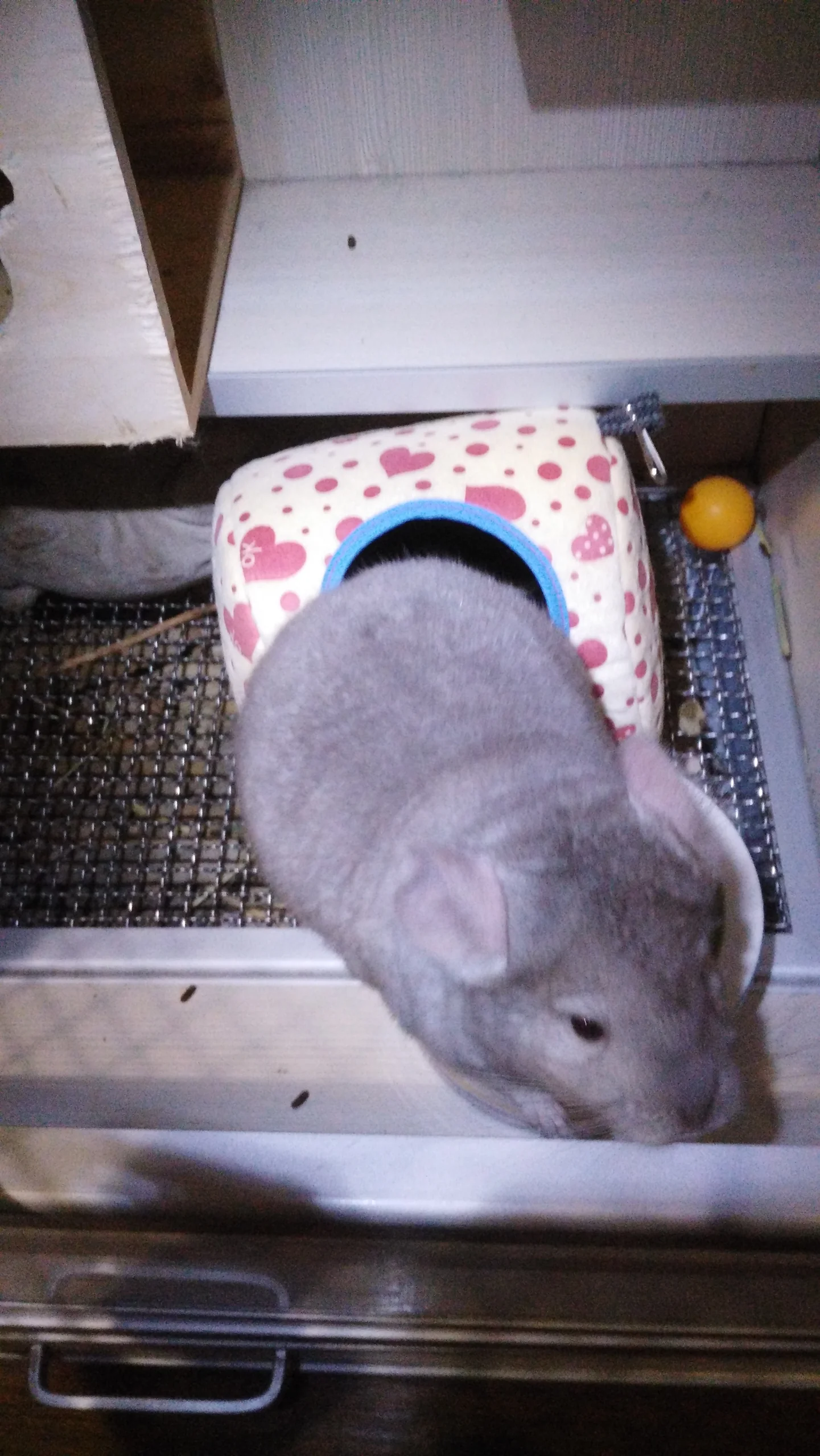 もっと見る