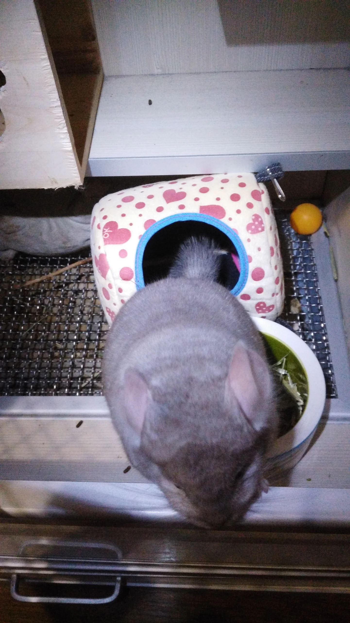 もっと見る