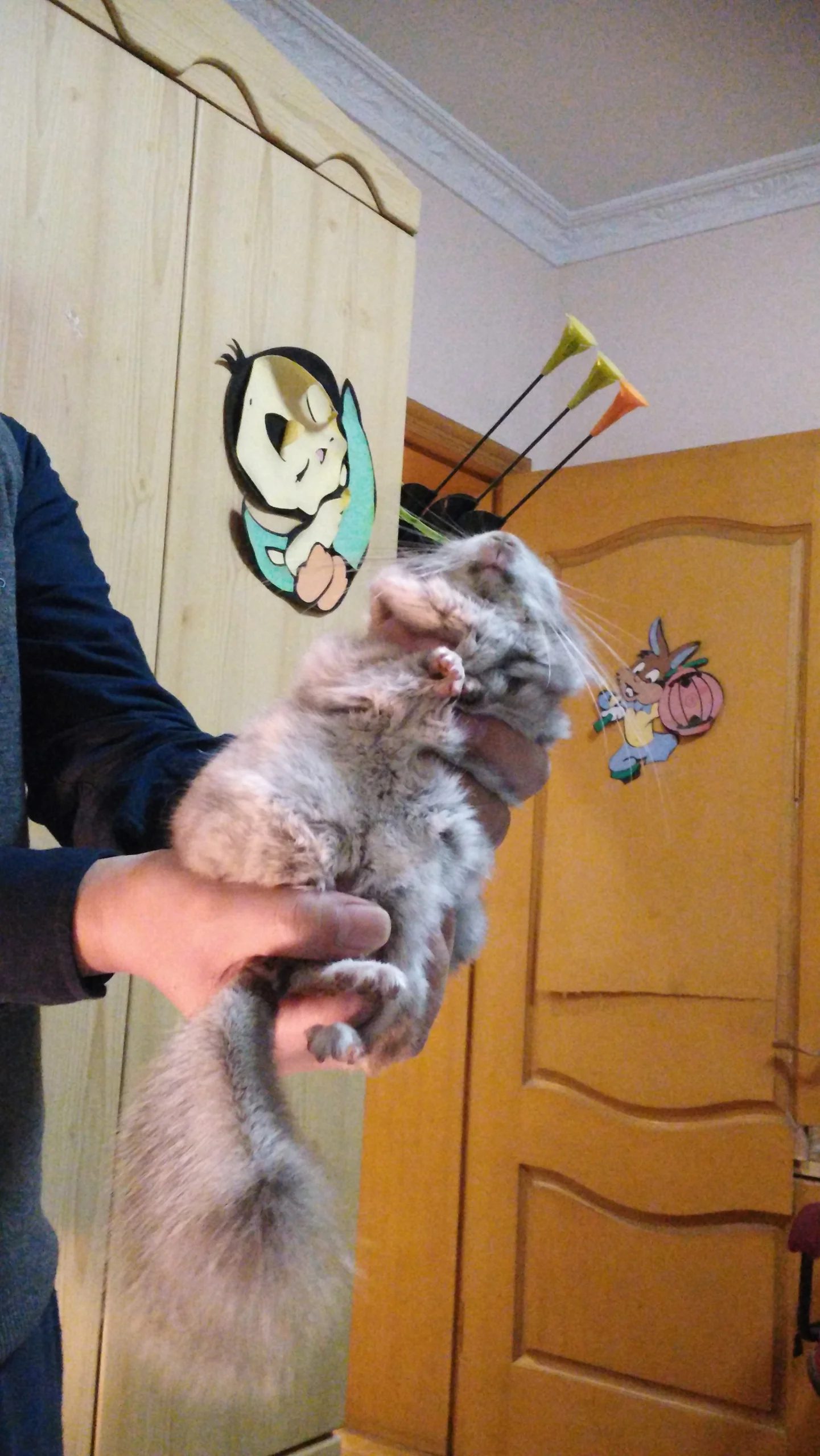 もっと見る