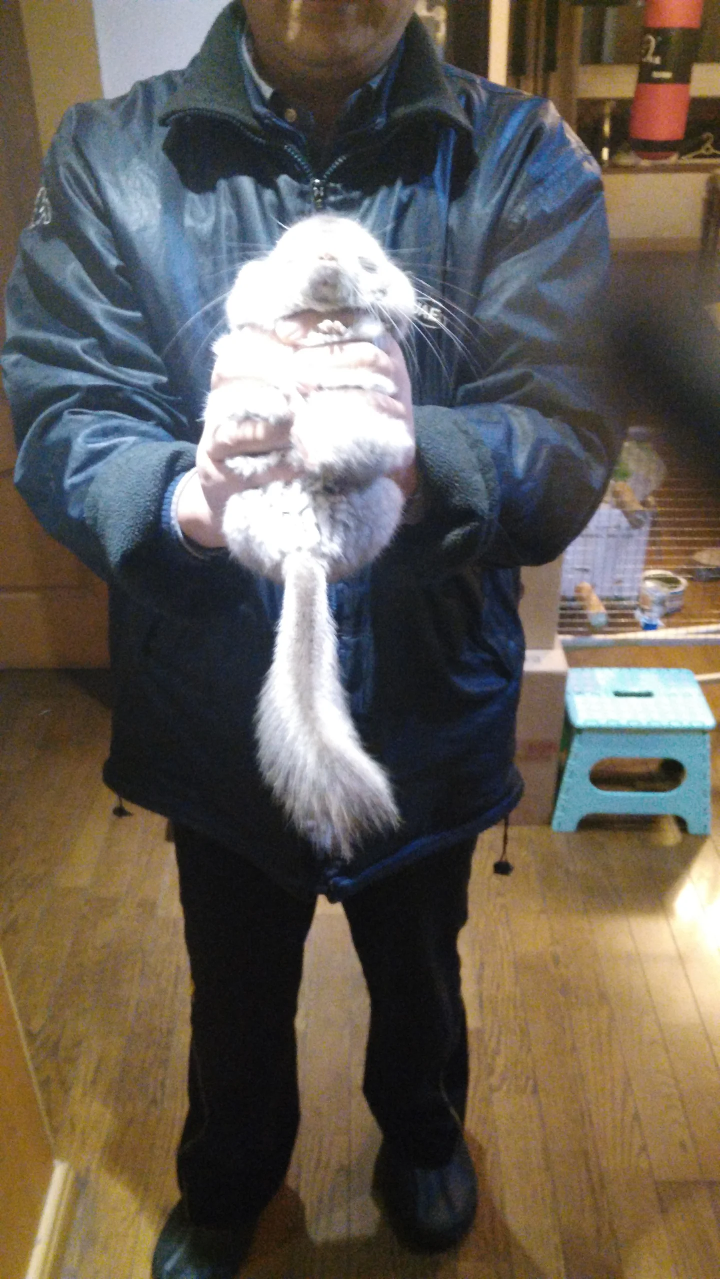もっと見る