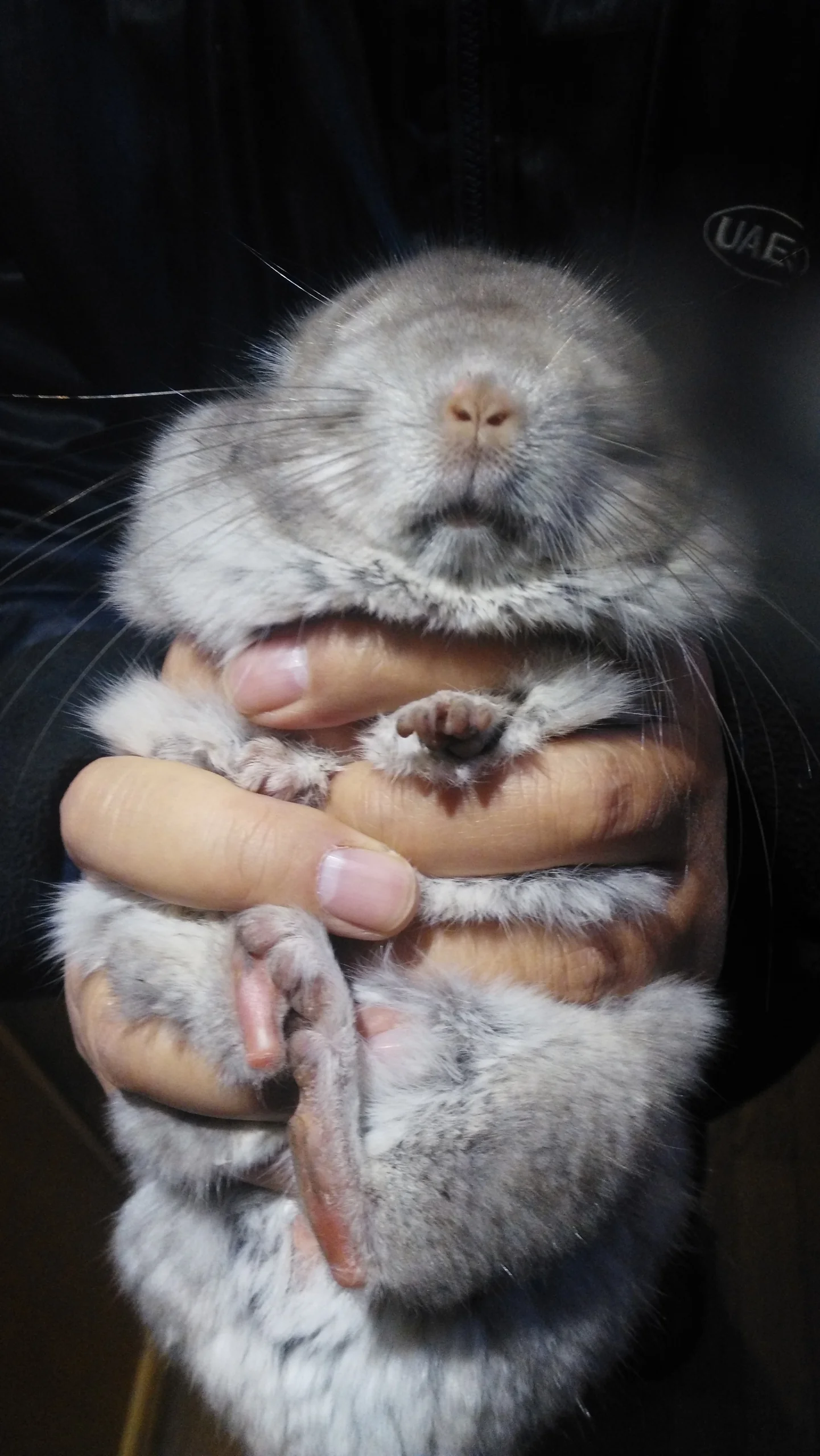 もっと見る