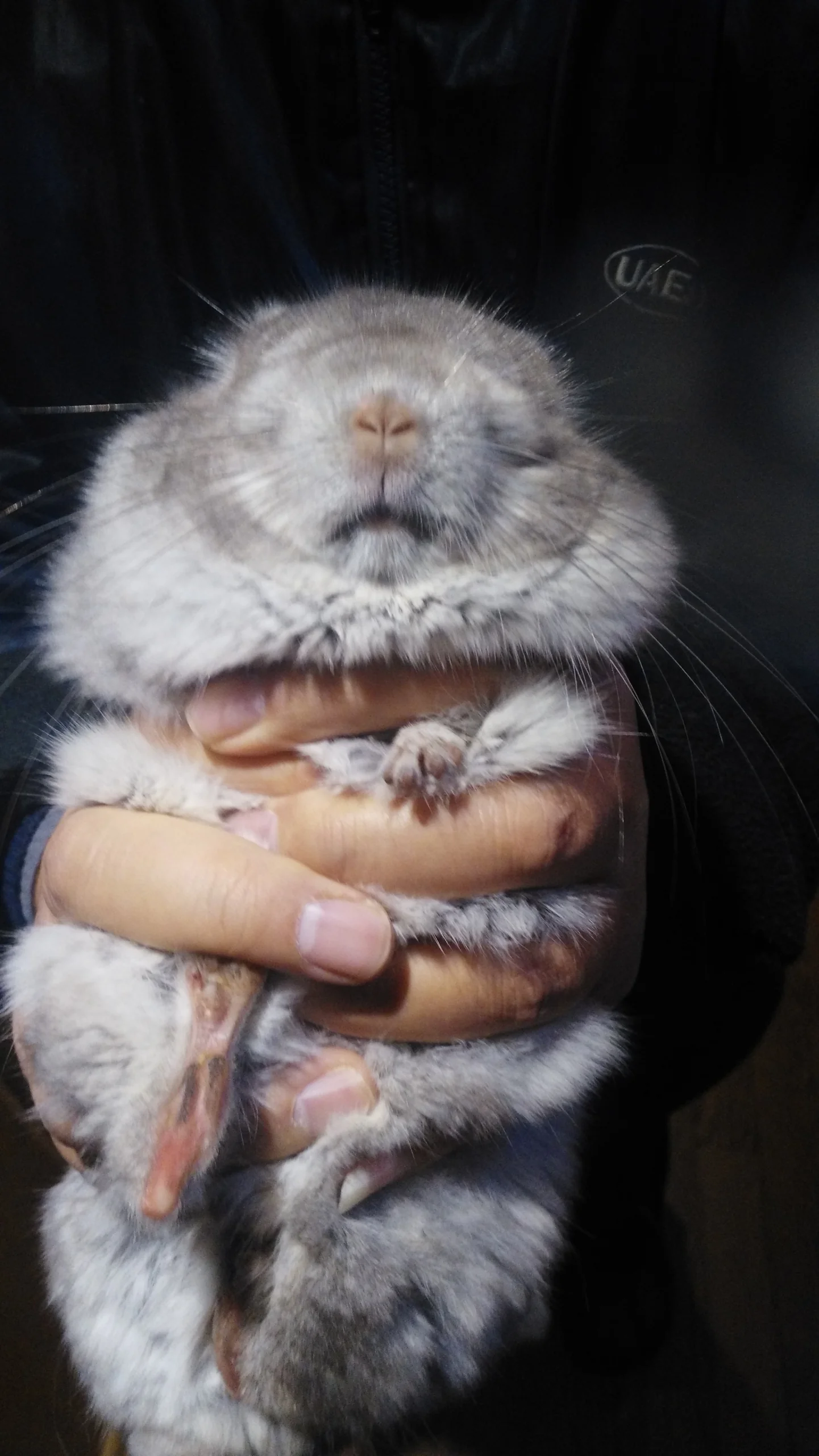 もっと見る