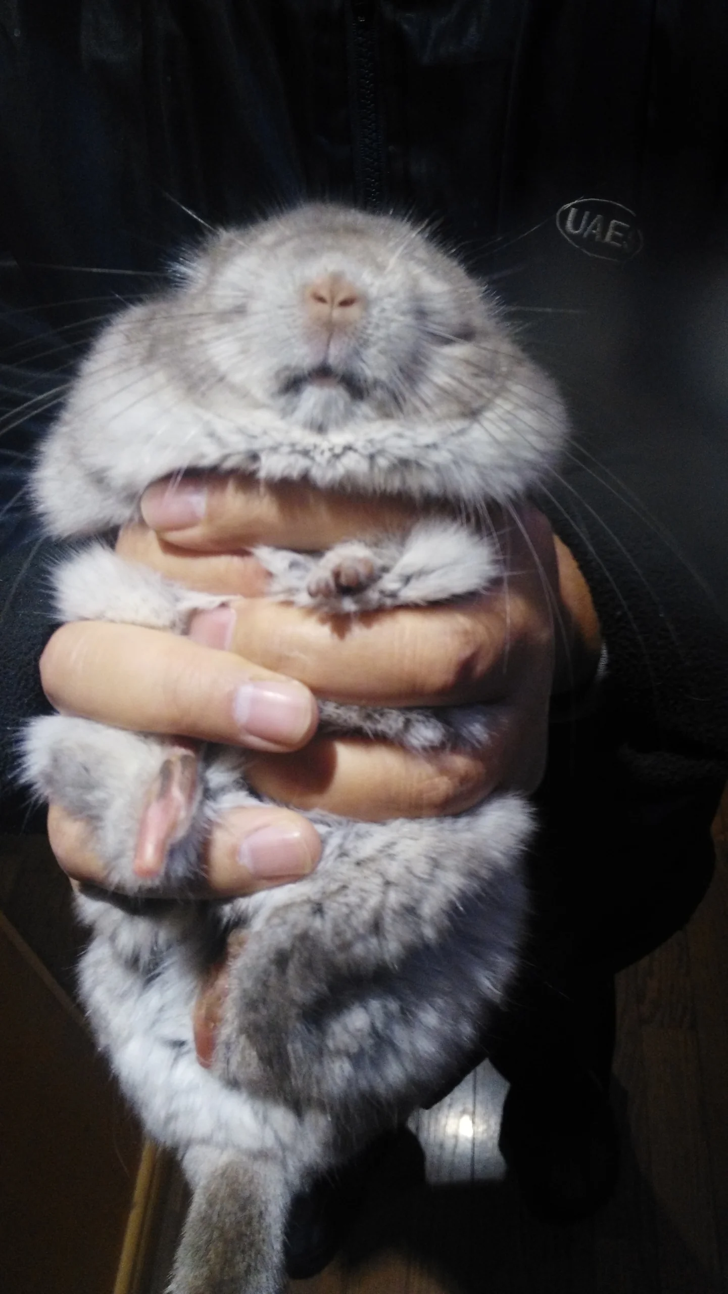 もっと見る