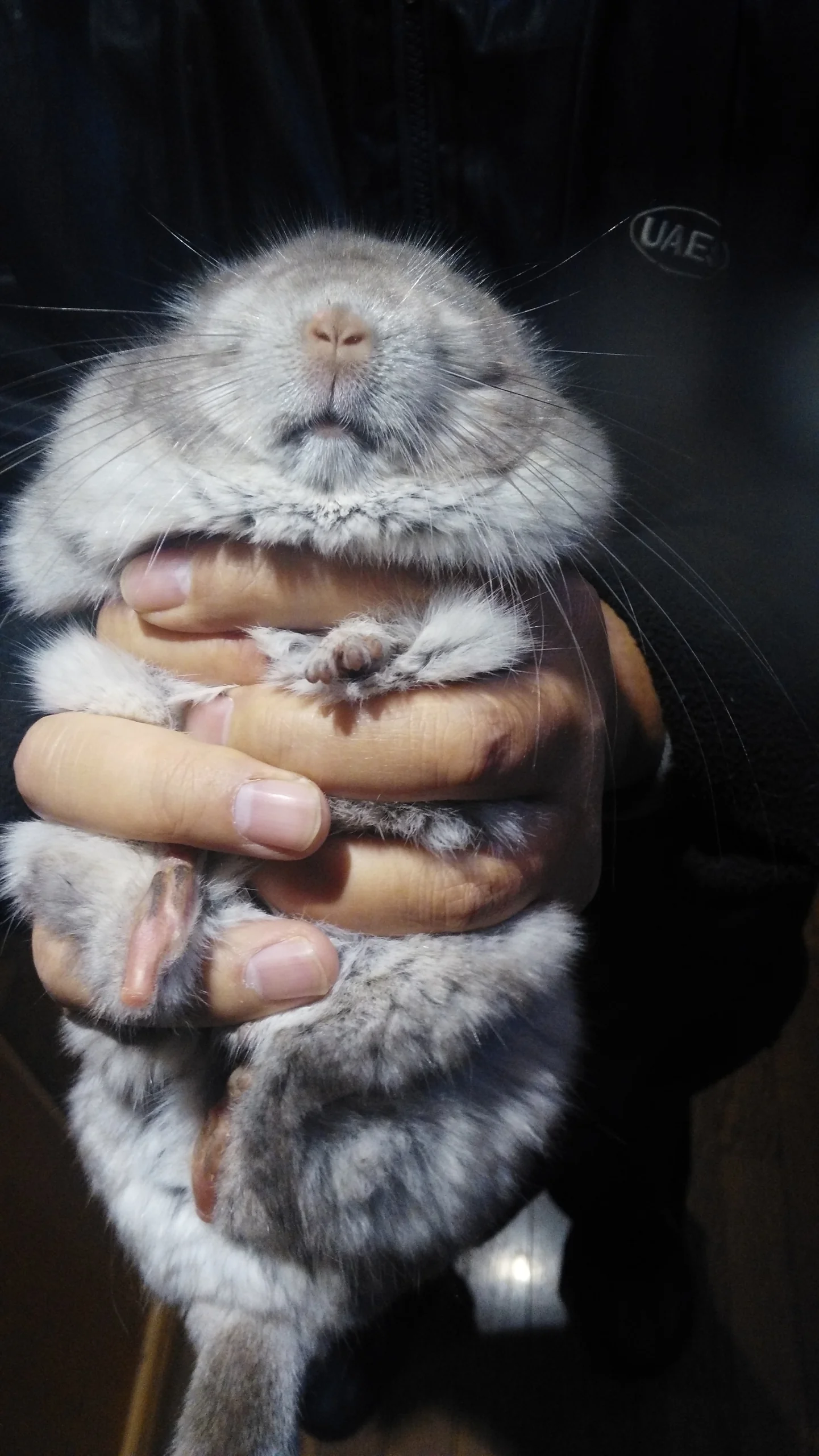 もっと見る