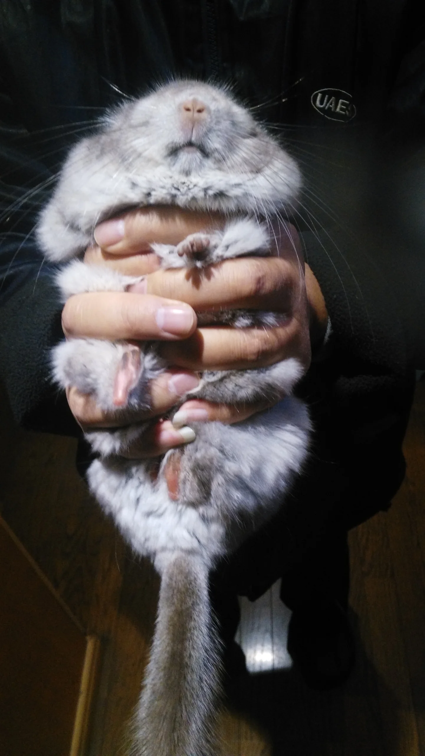 もっと見る