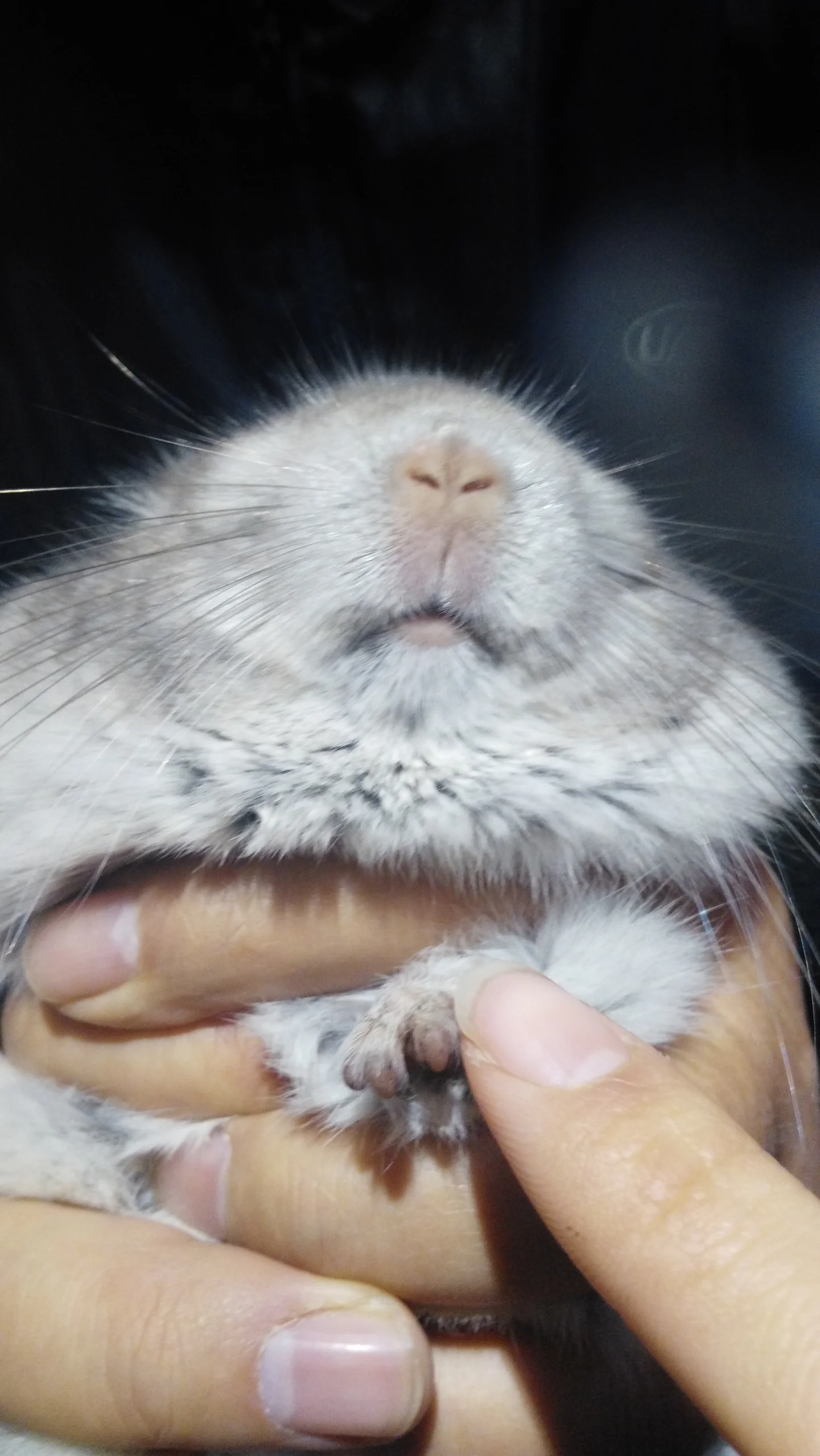 もっと見る