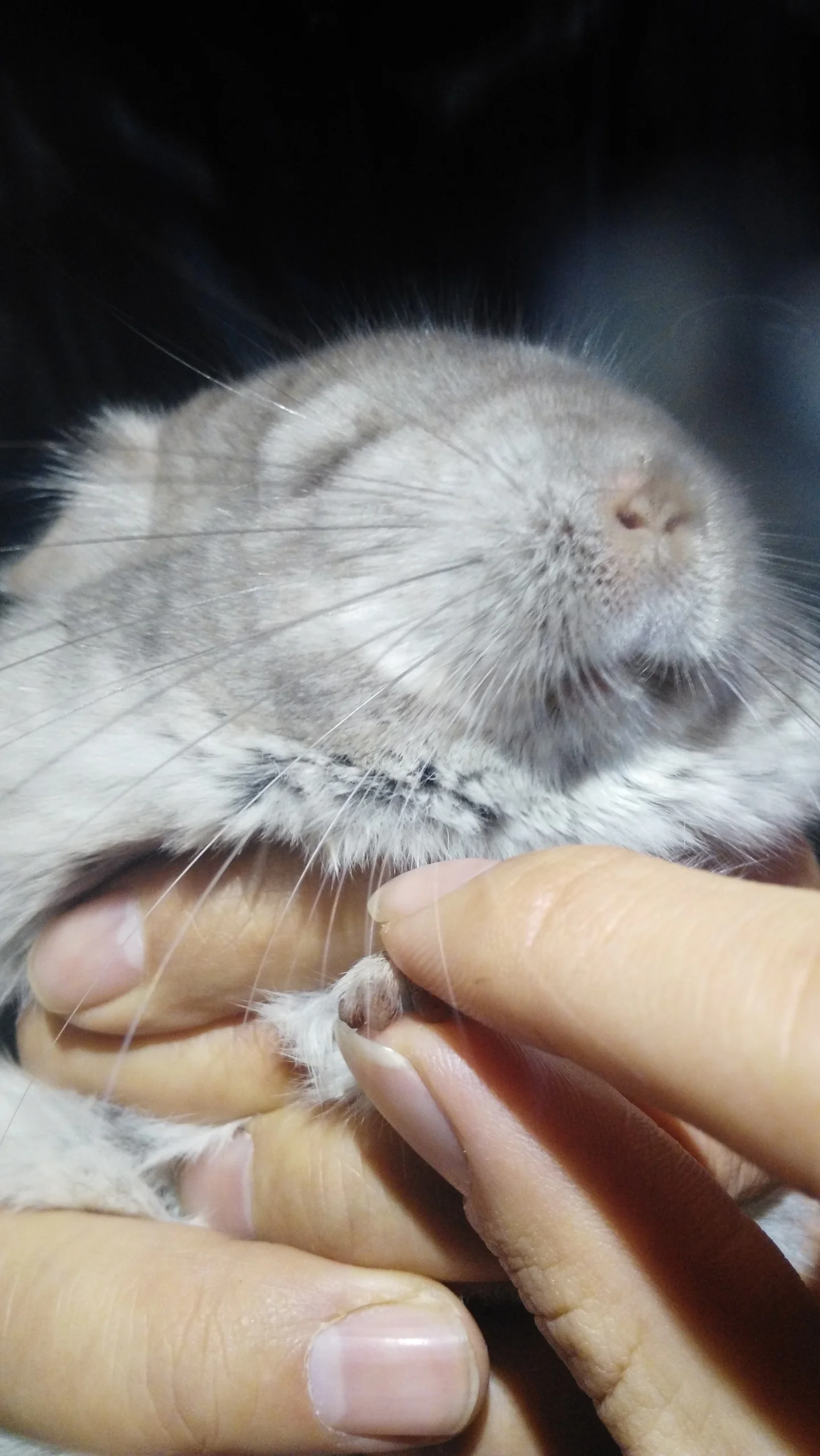 もっと見る