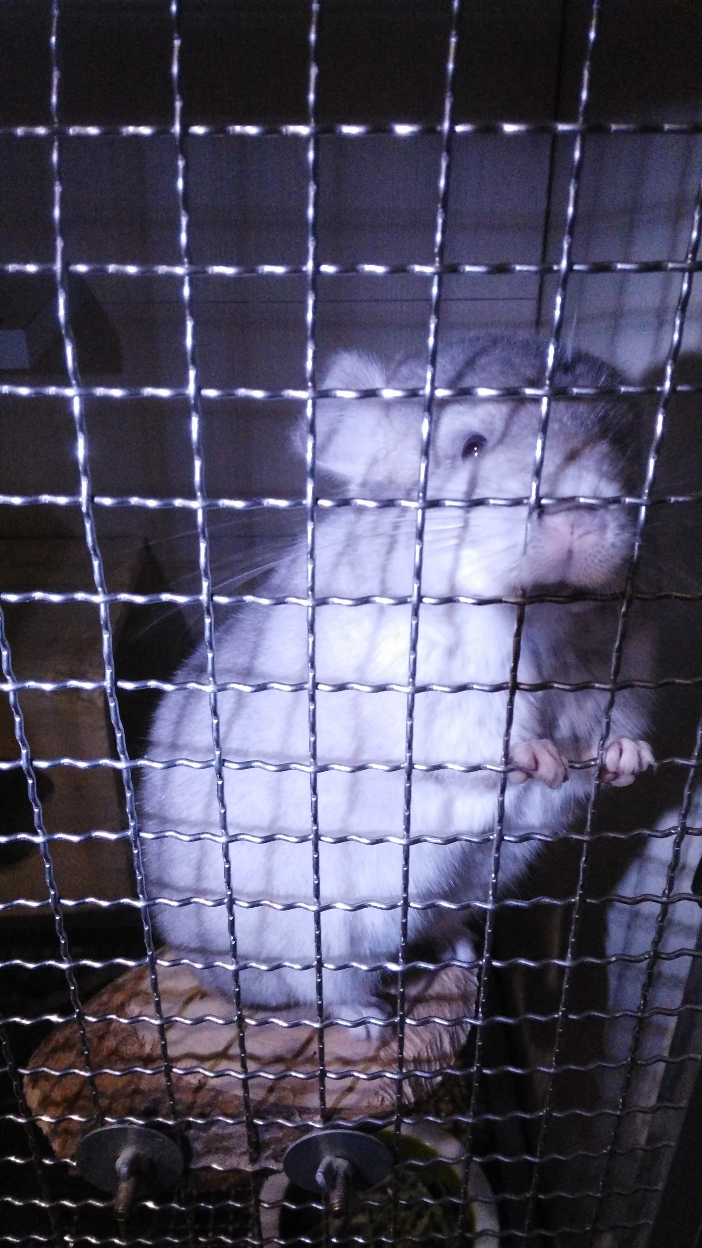 もっと見る