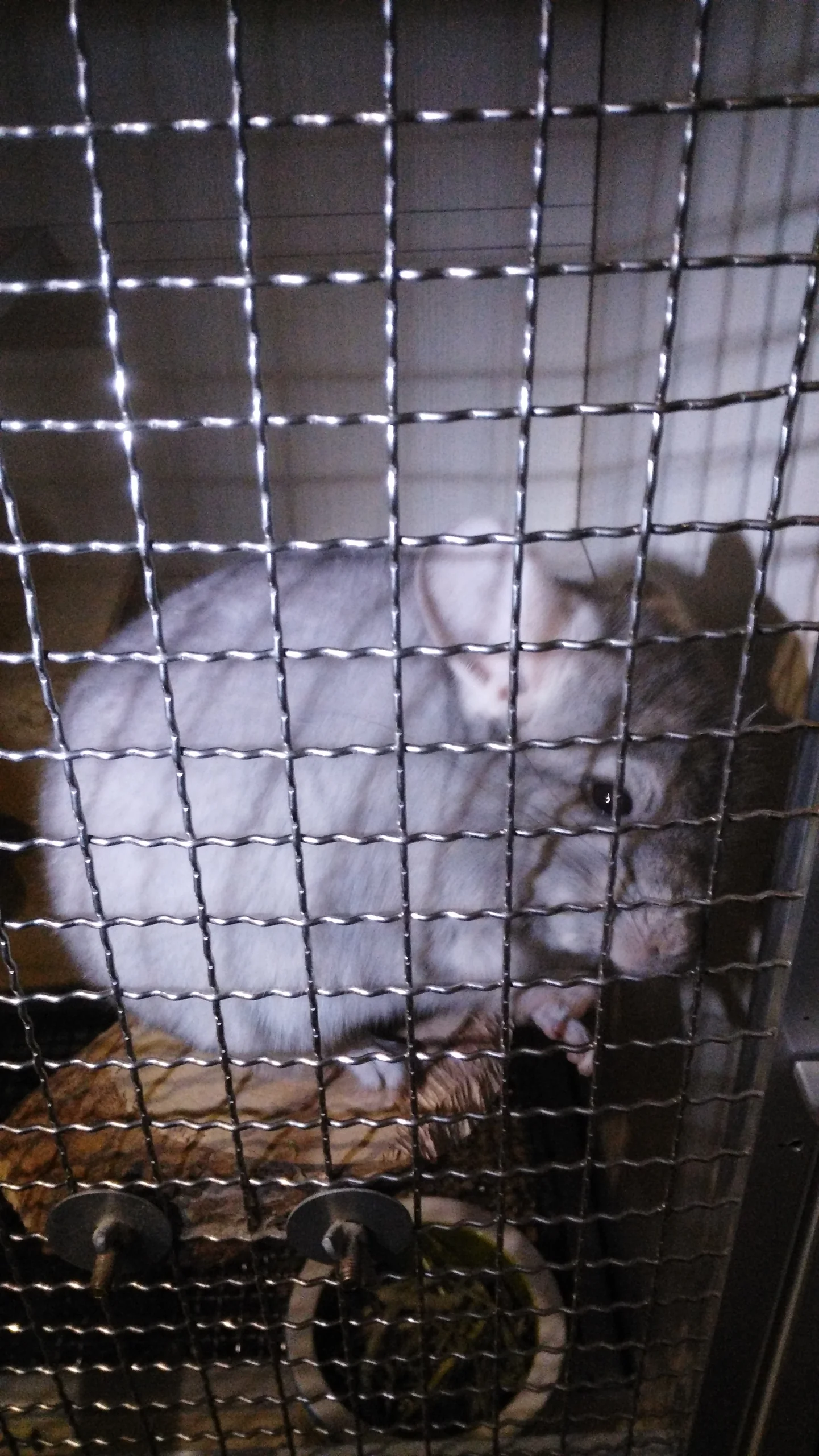 もっと見る