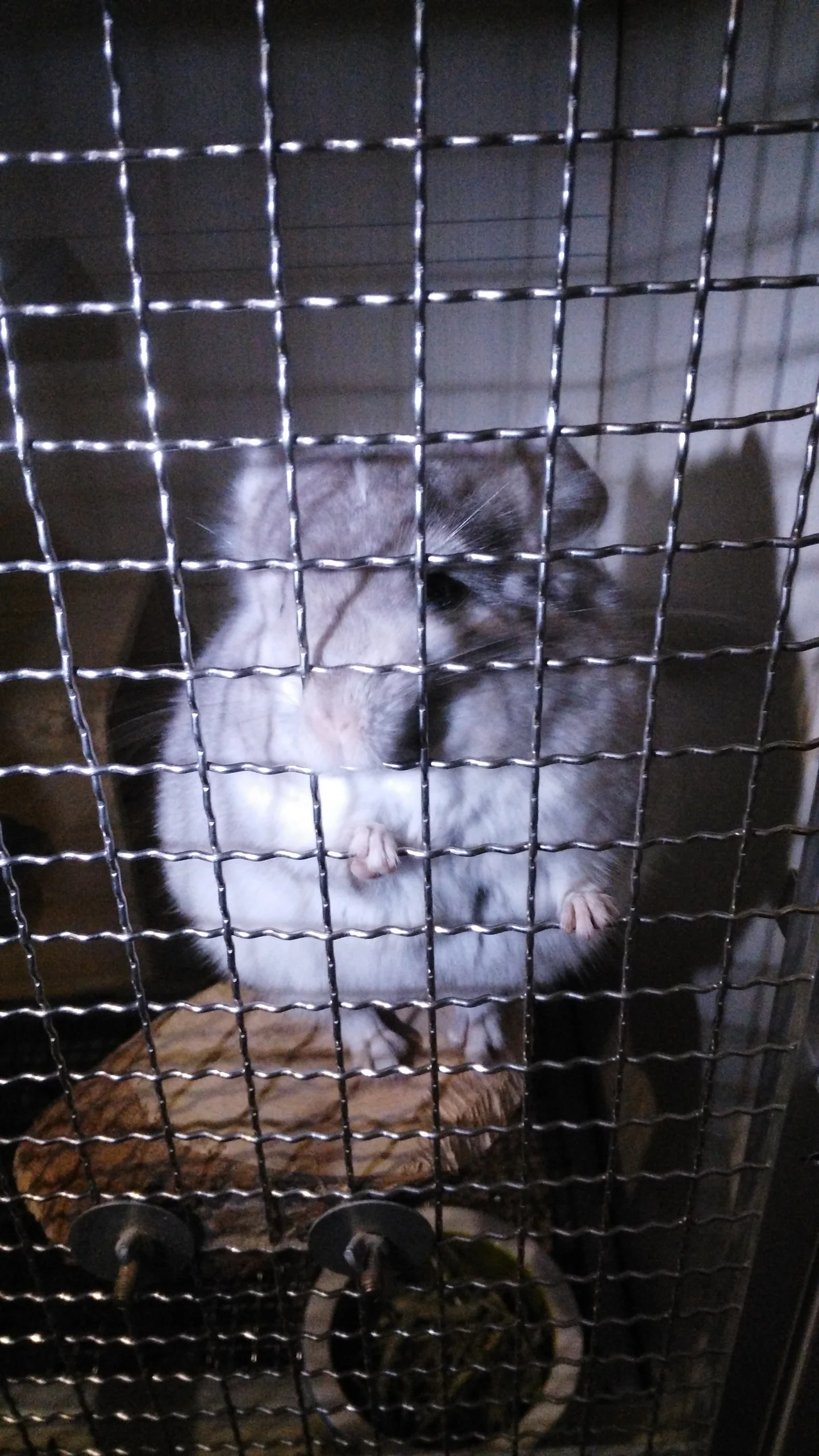 もっと見る