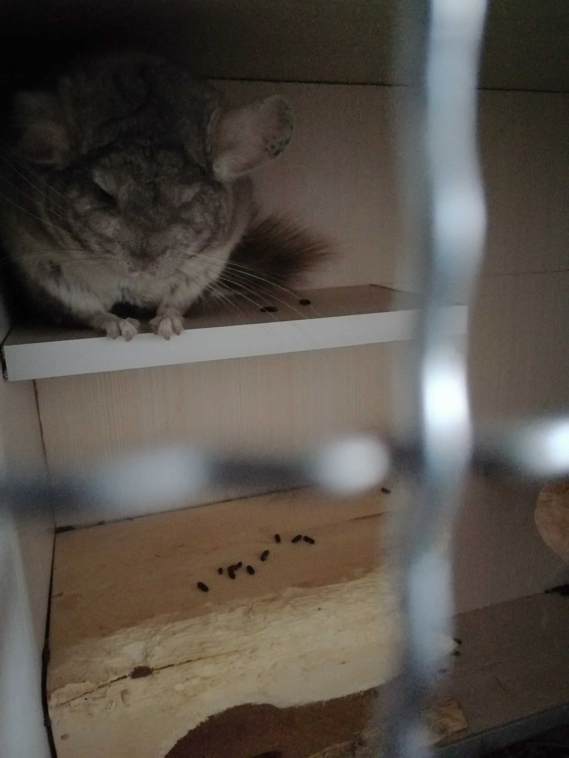 もっと見る