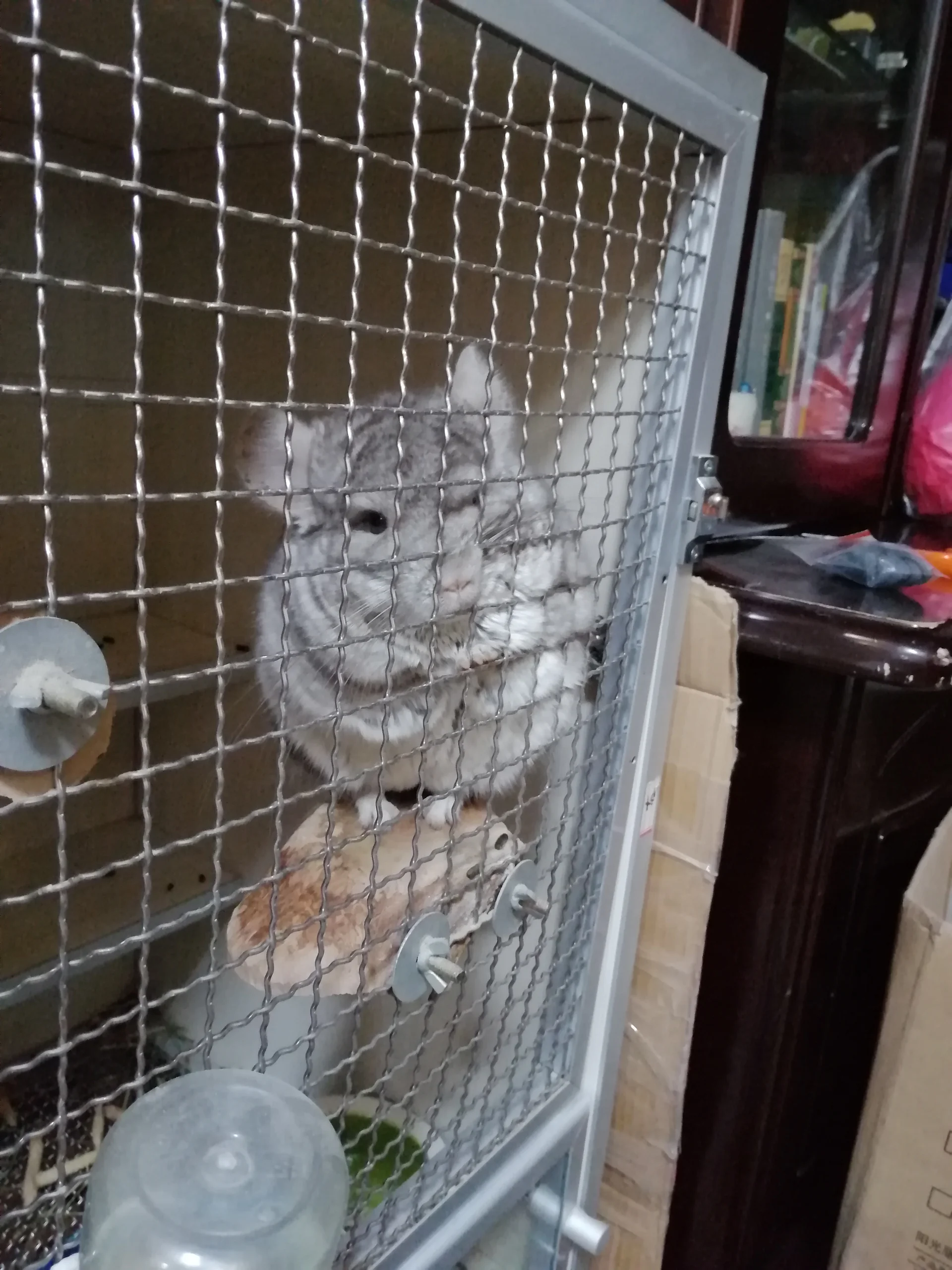 もっと見る