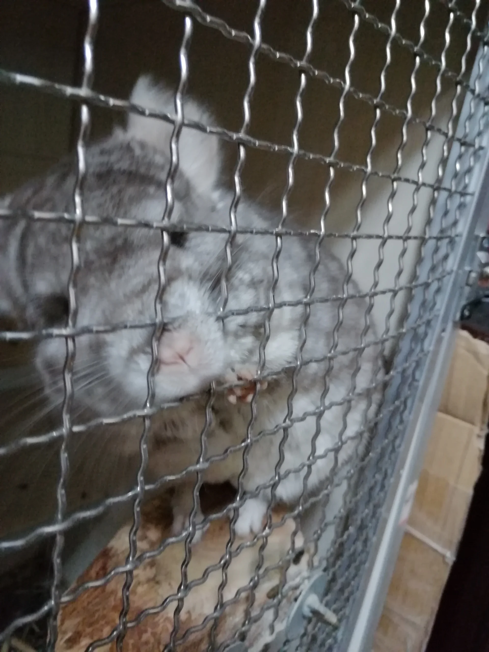 もっと見る