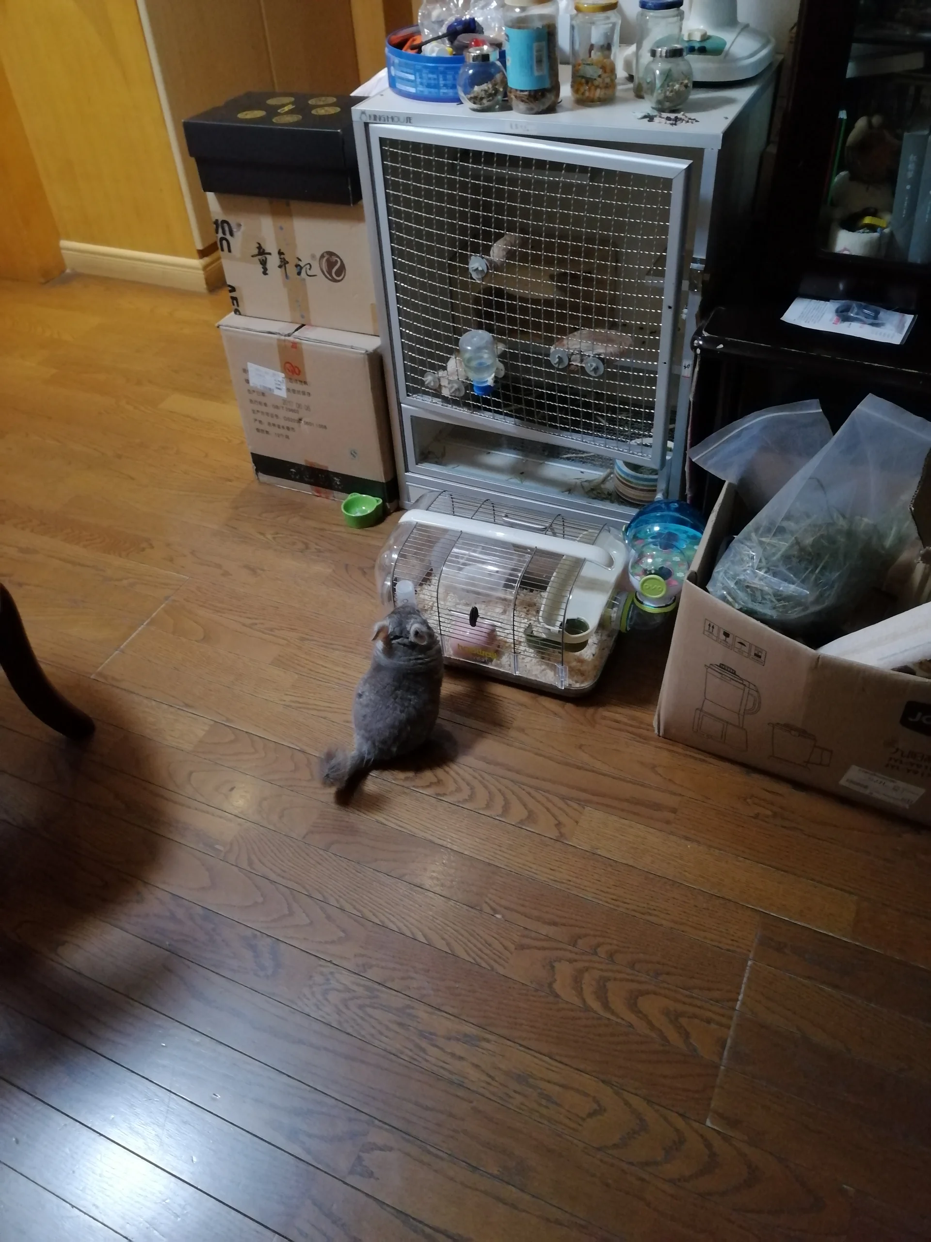 もっと見る