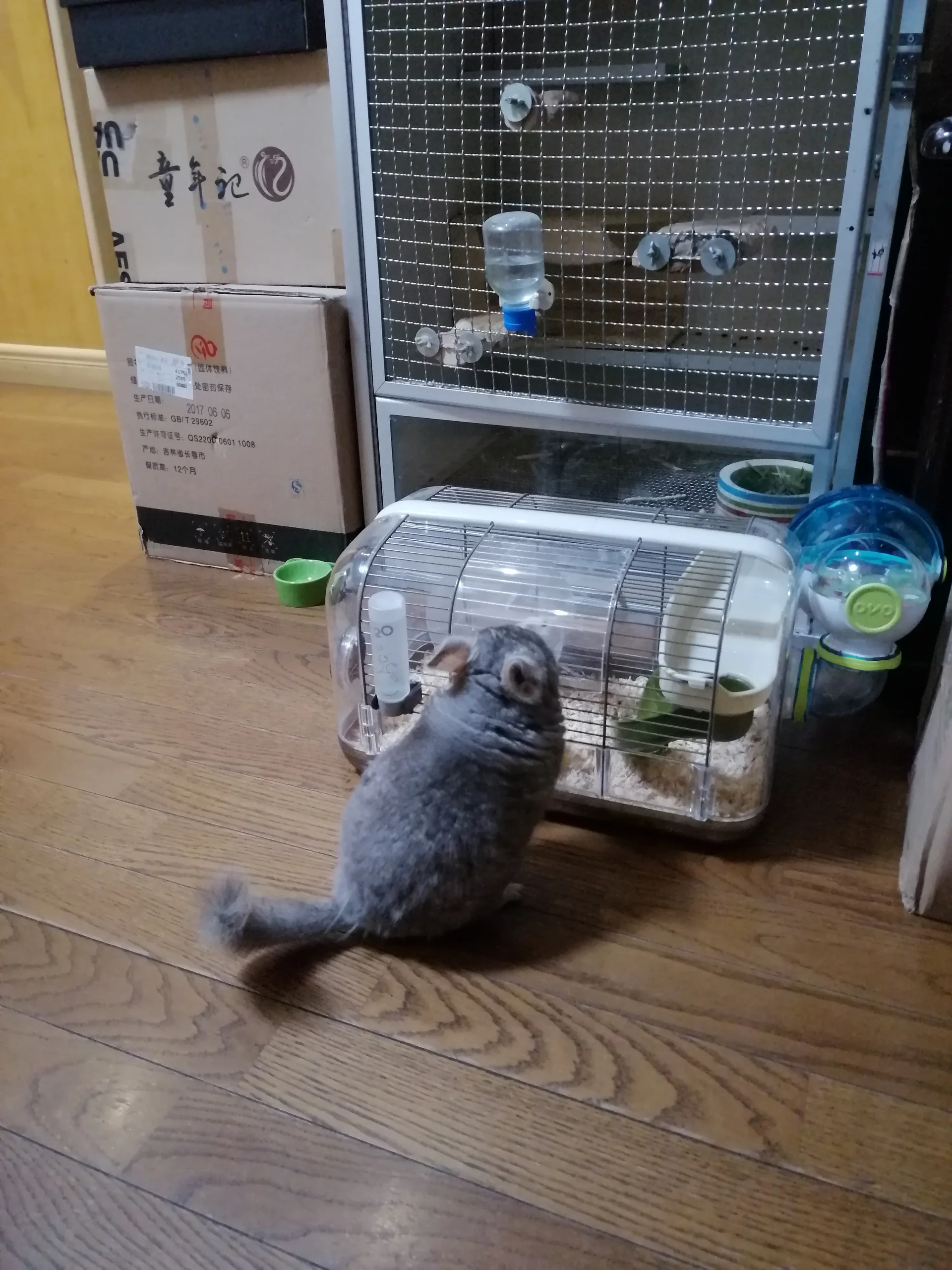 もっと見る