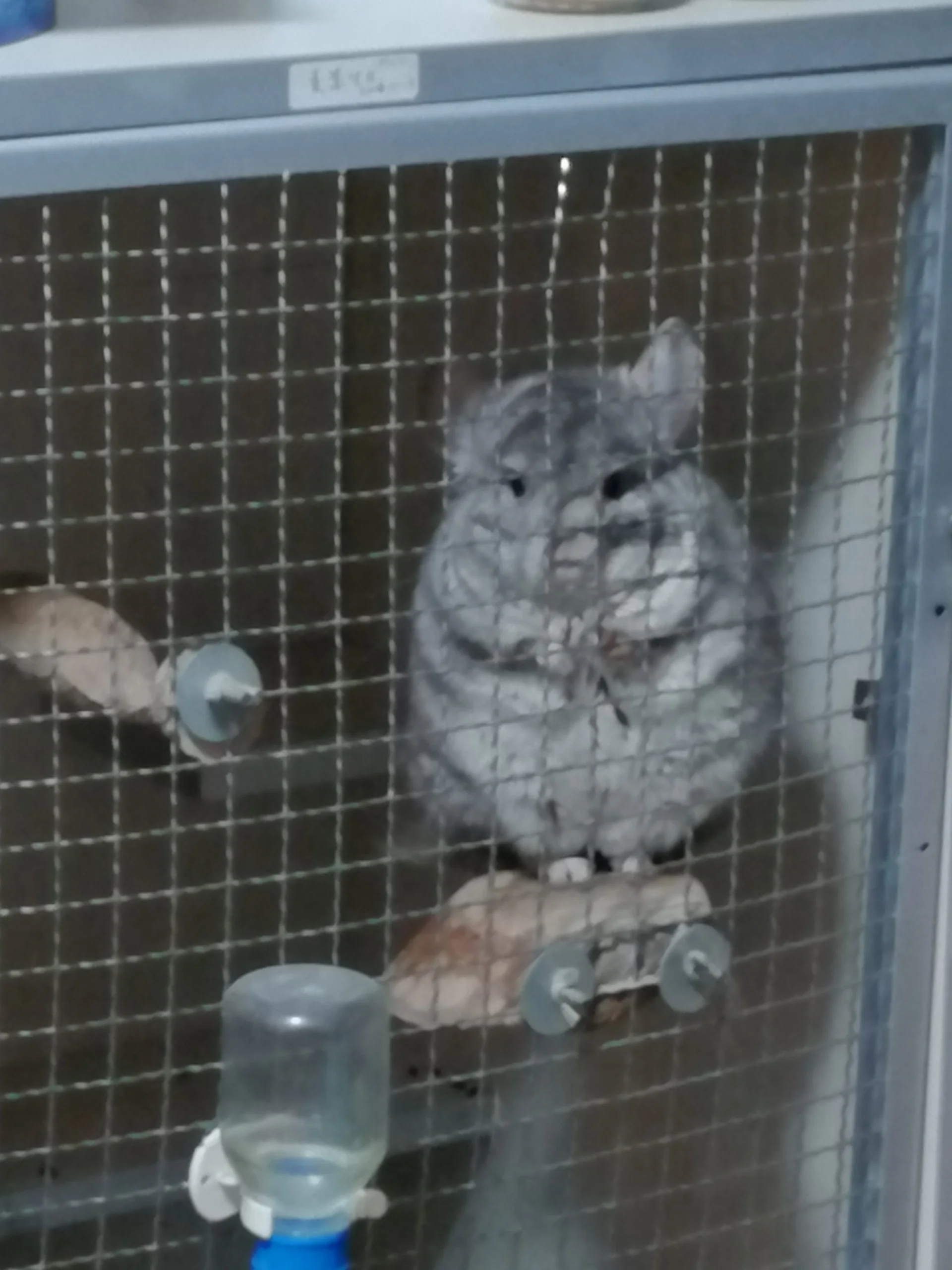もっと見る
