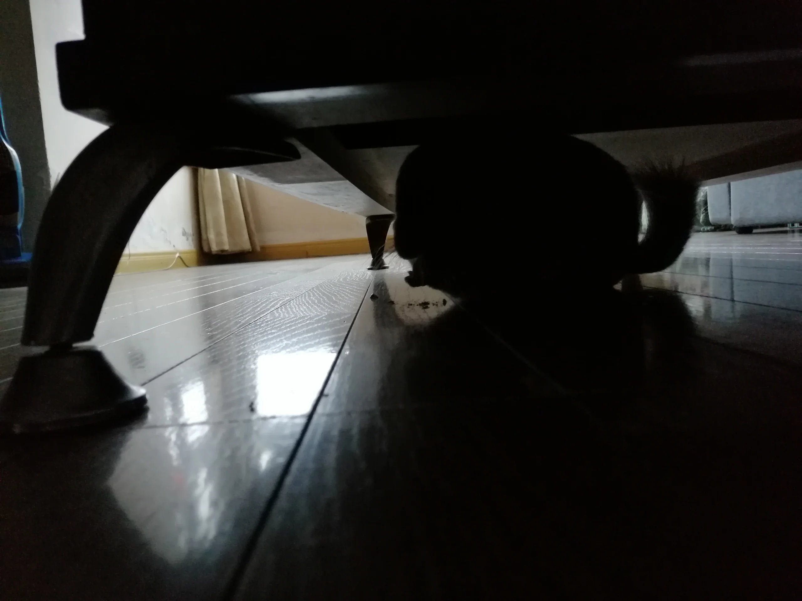 もっと見る