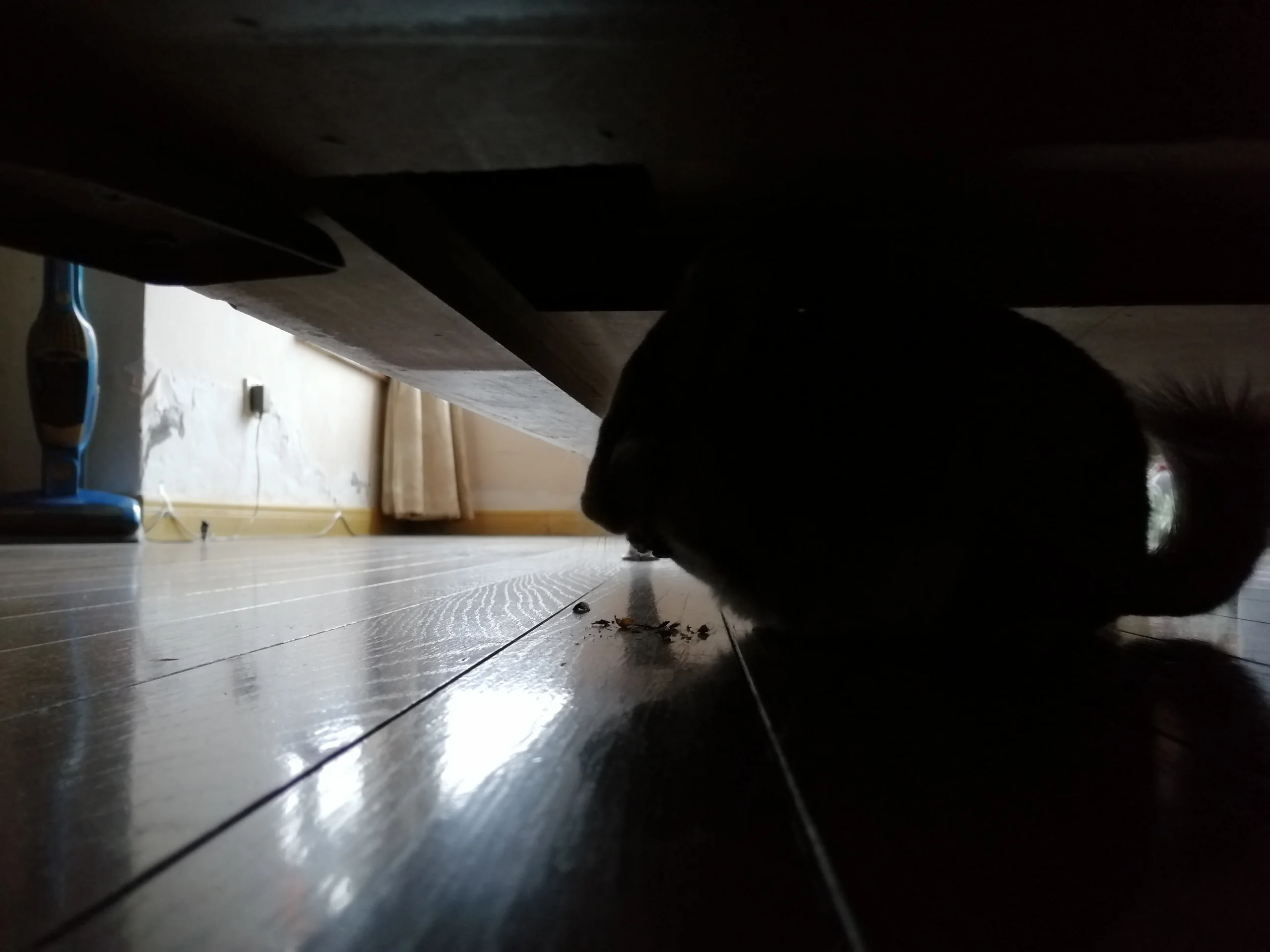 もっと見る