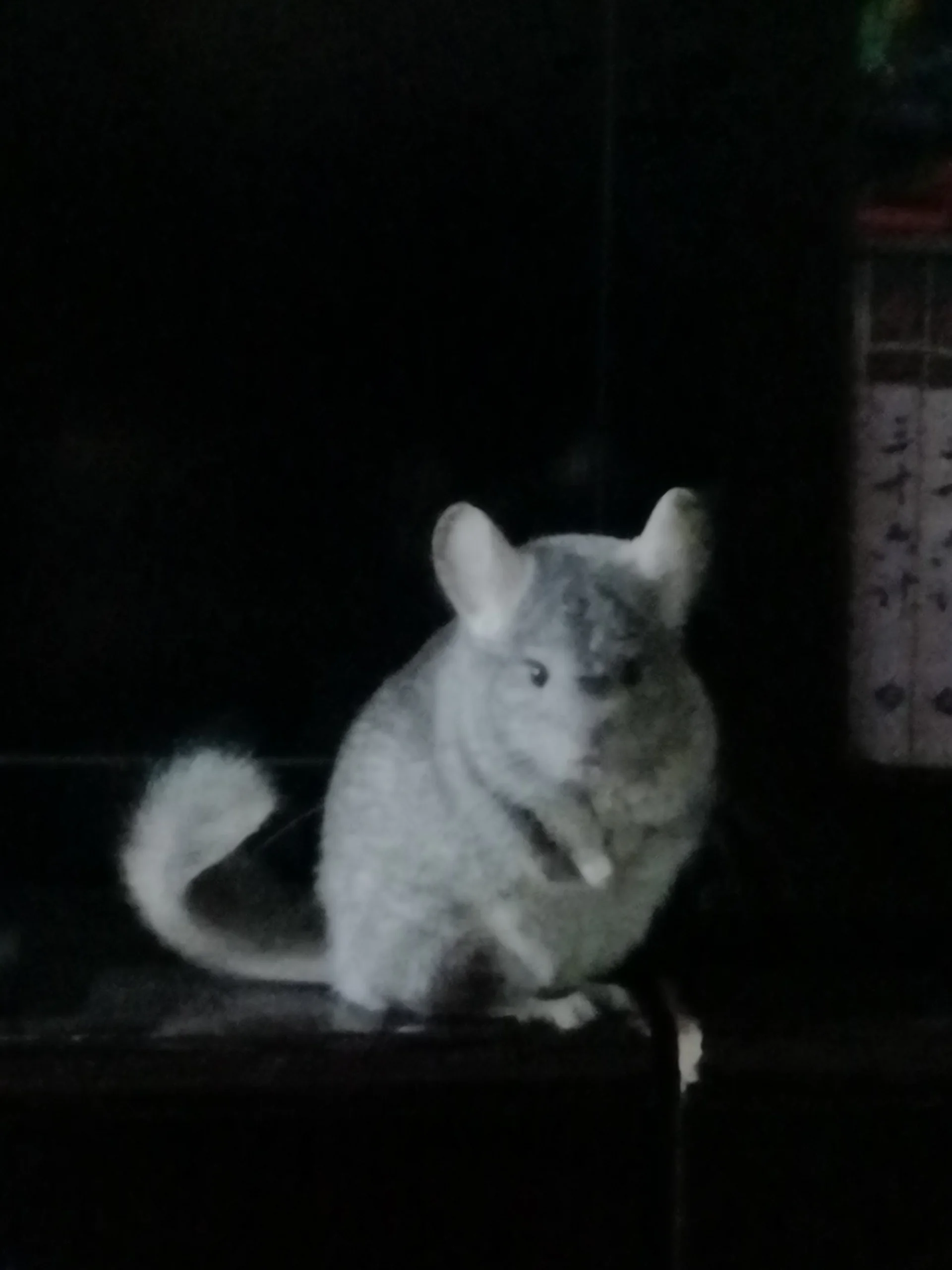 もっと見る