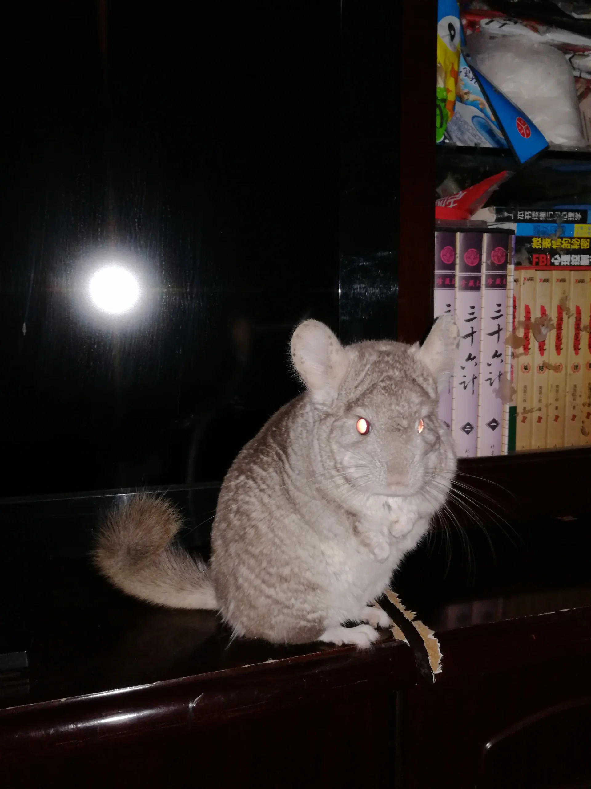 もっと見る