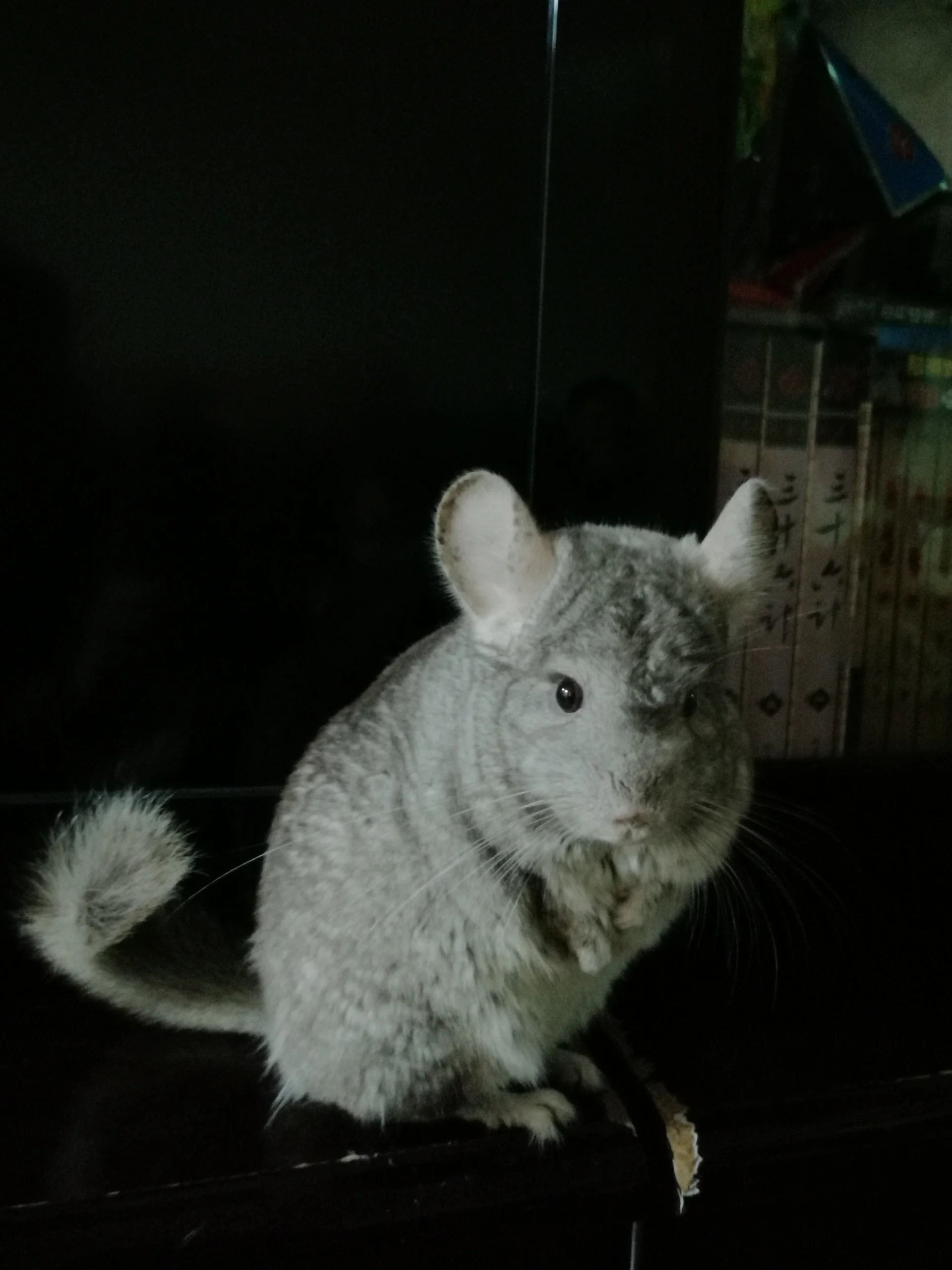 もっと見る