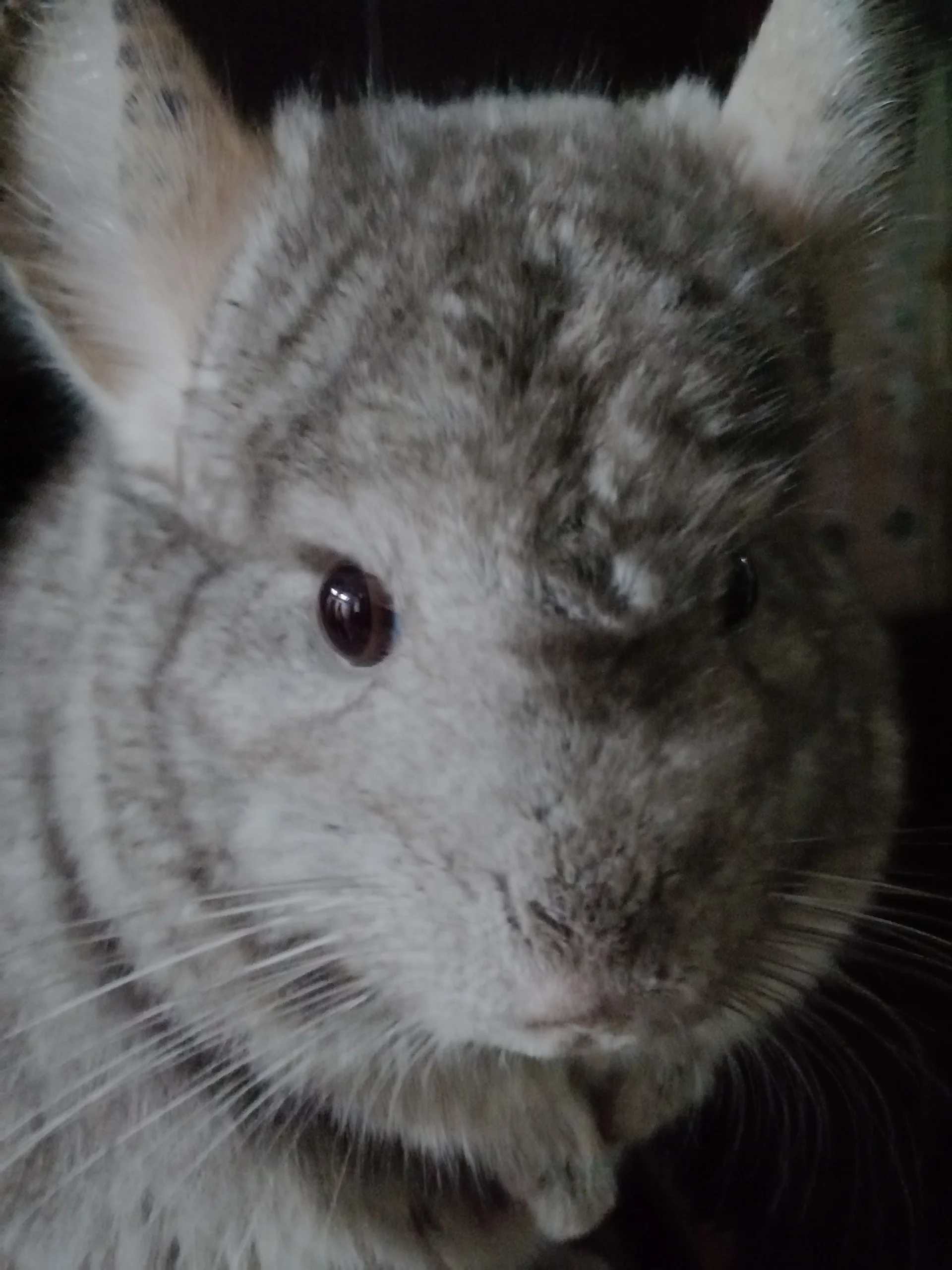 もっと見る