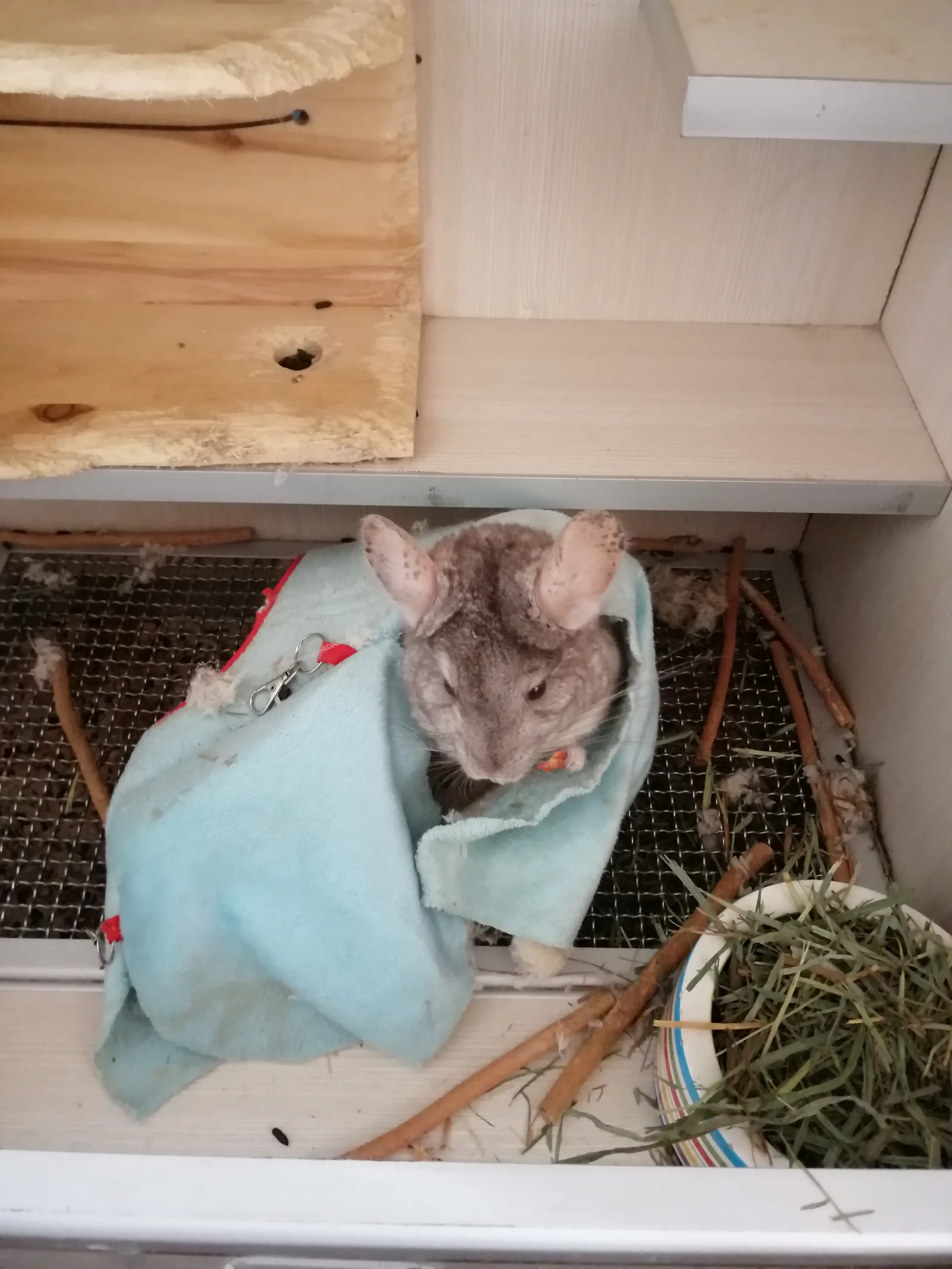 もっと見る