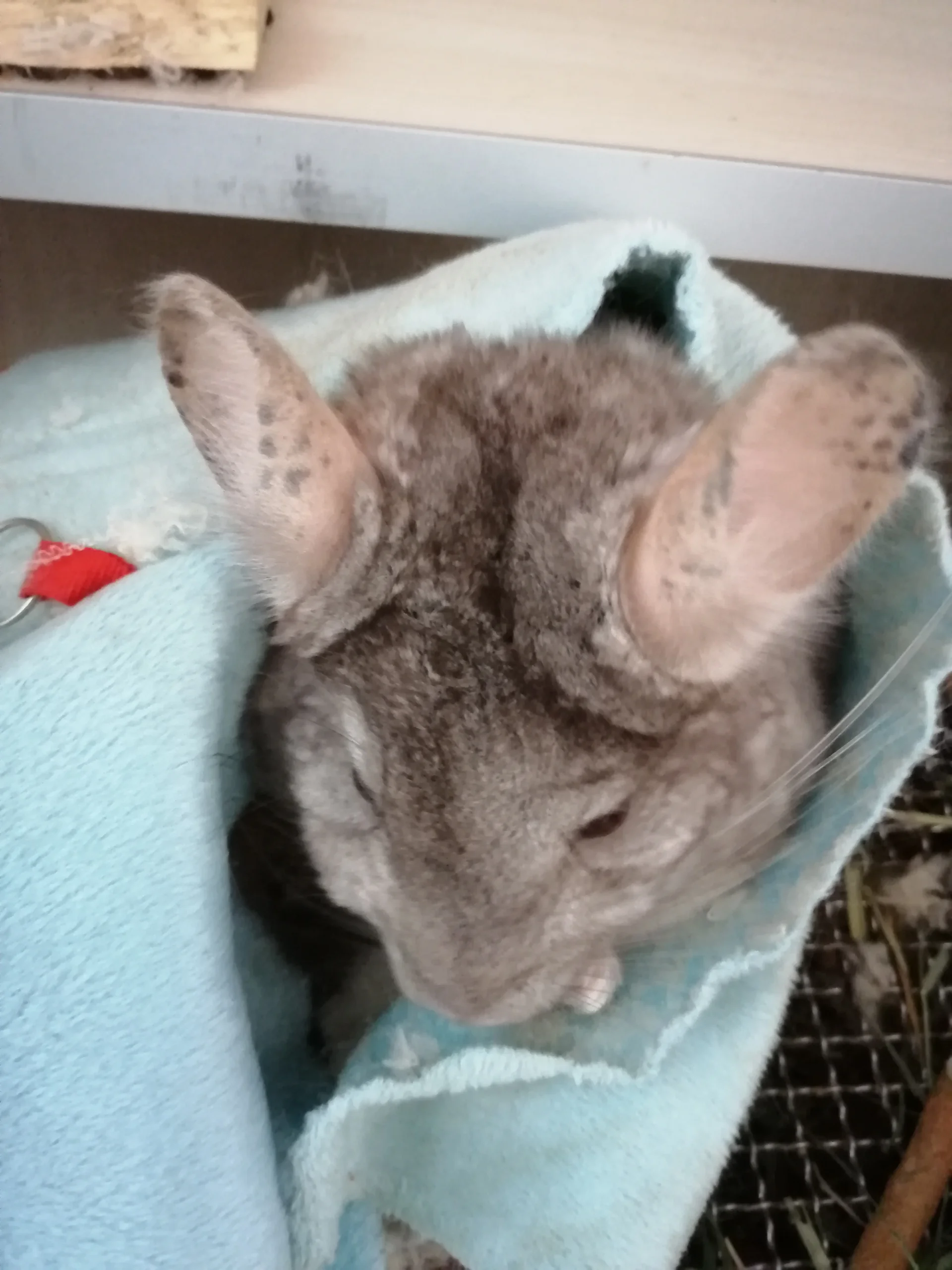 もっと見る
