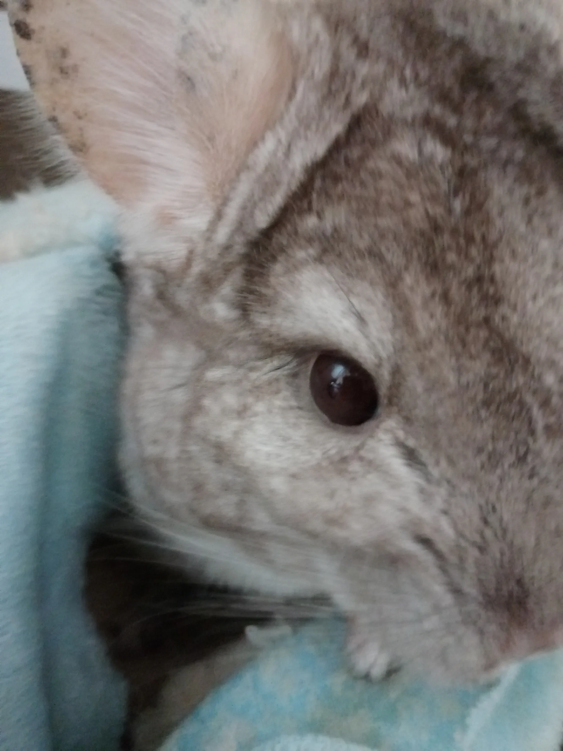 もっと見る