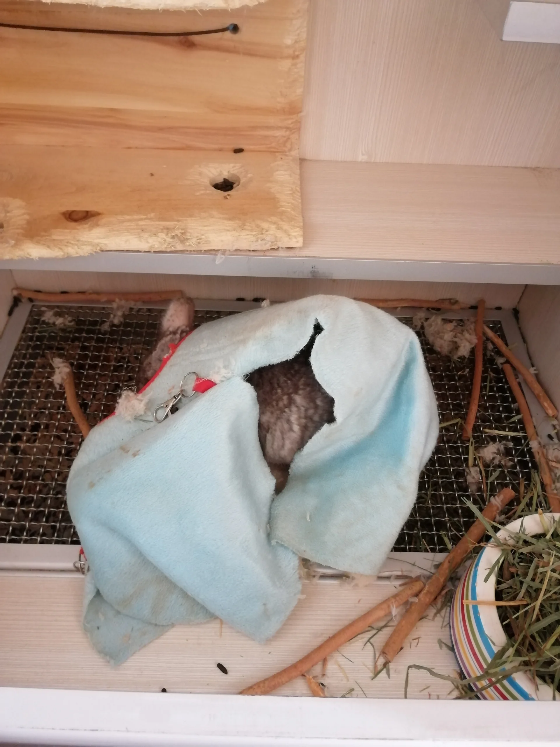 もっと見る