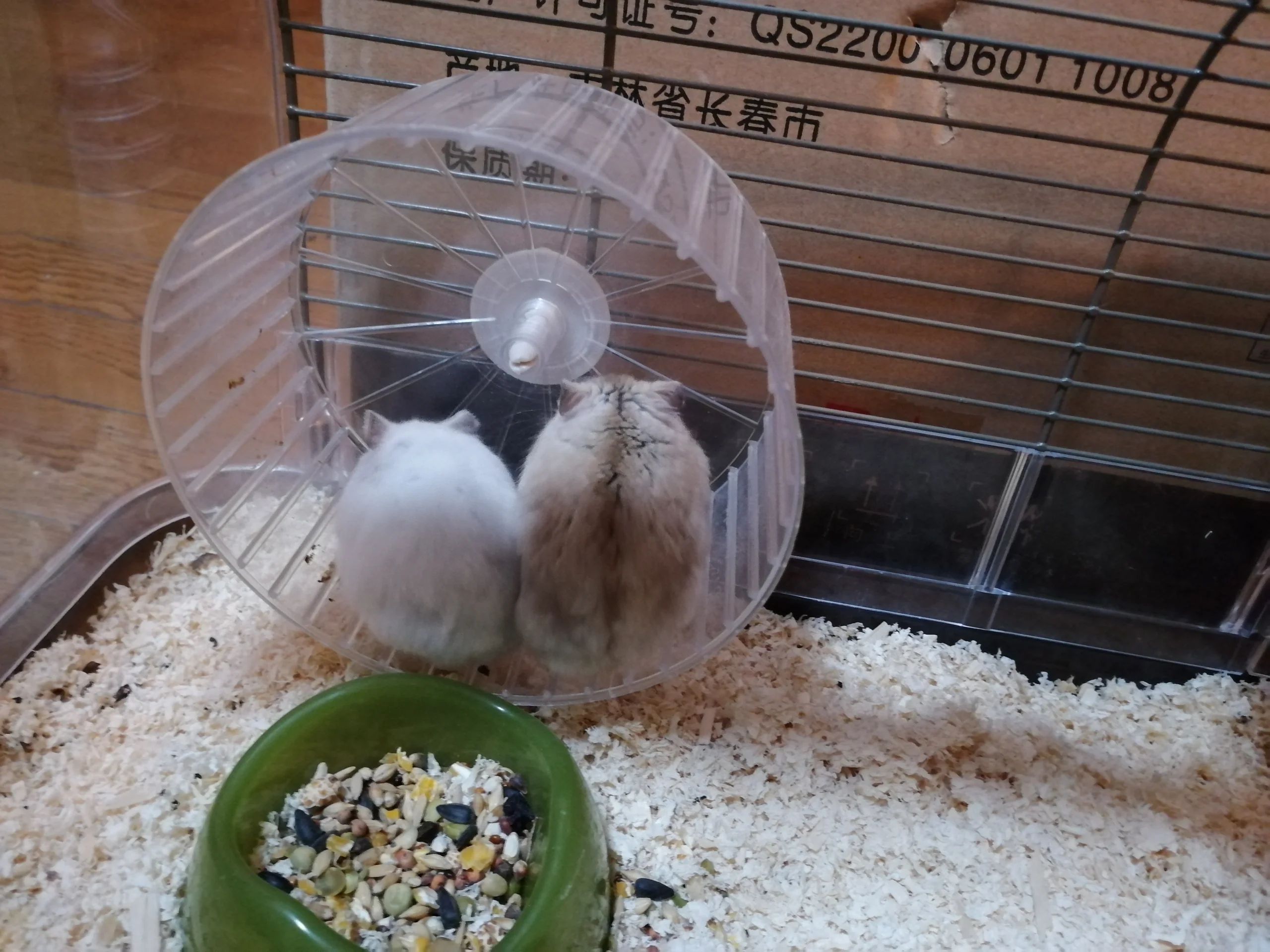 もっと見る