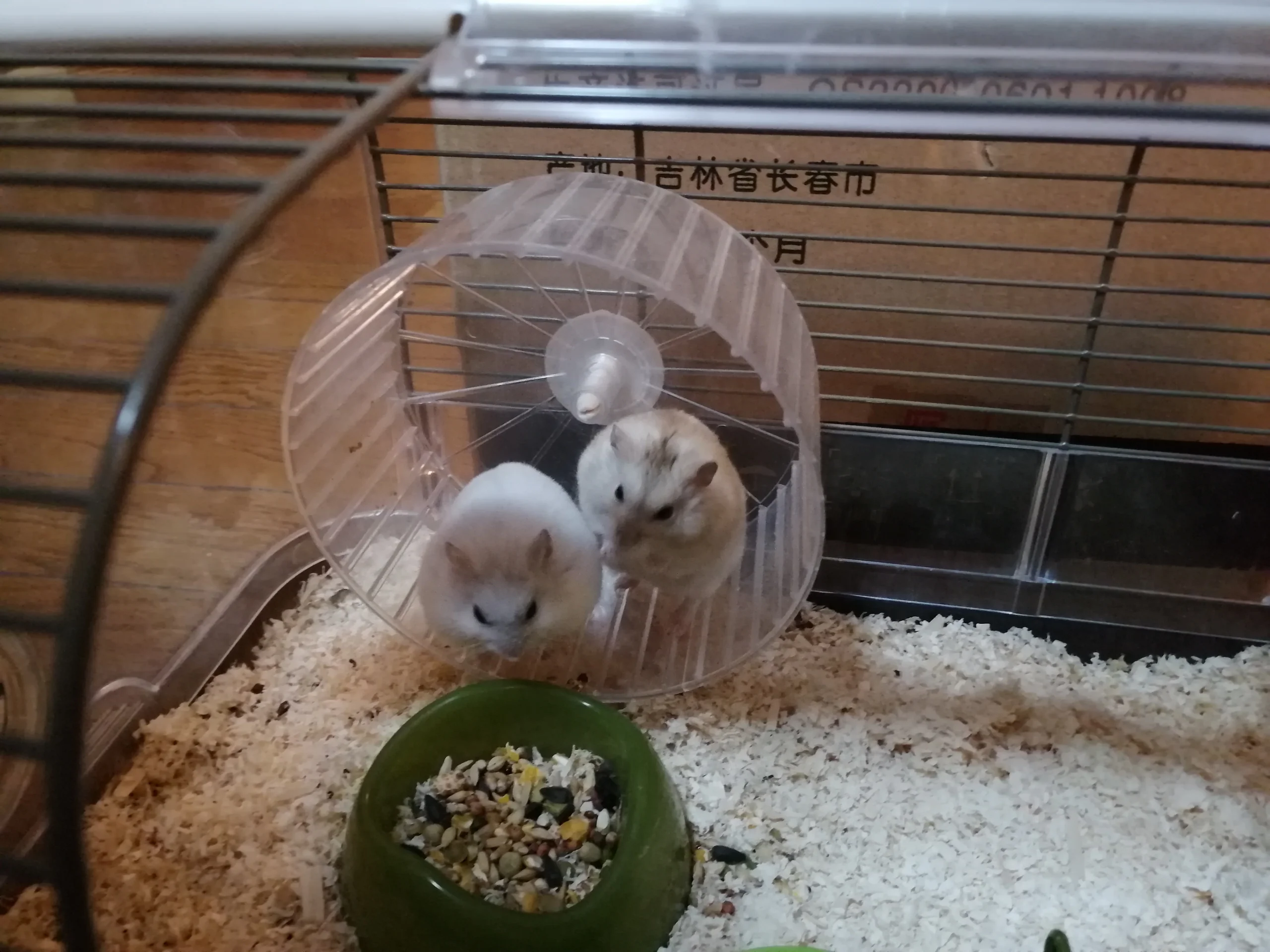 もっと見る