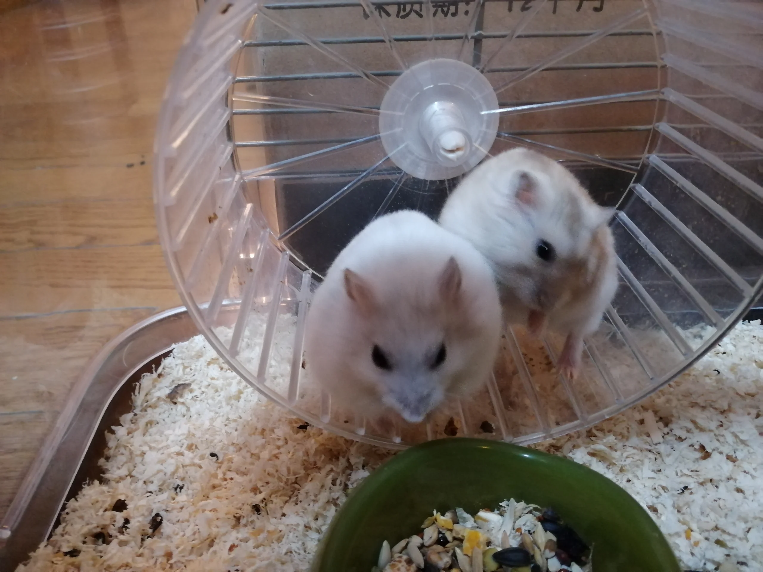もっと見る