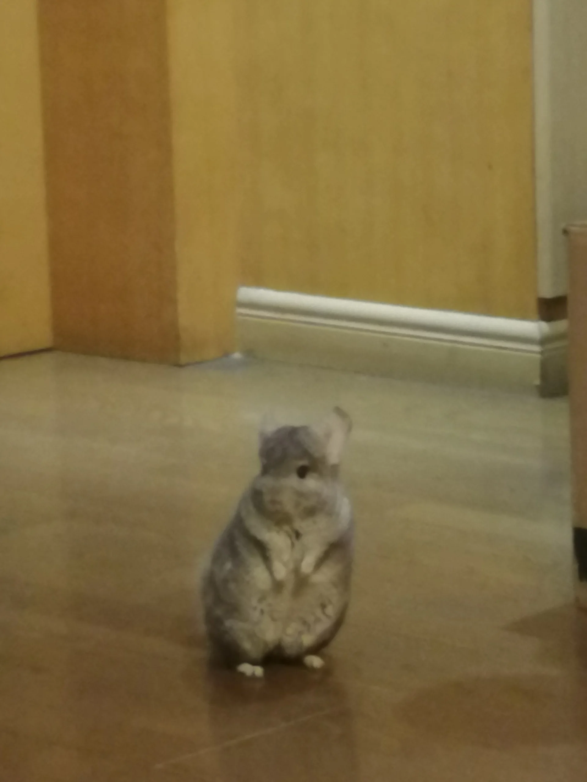 もっと見る