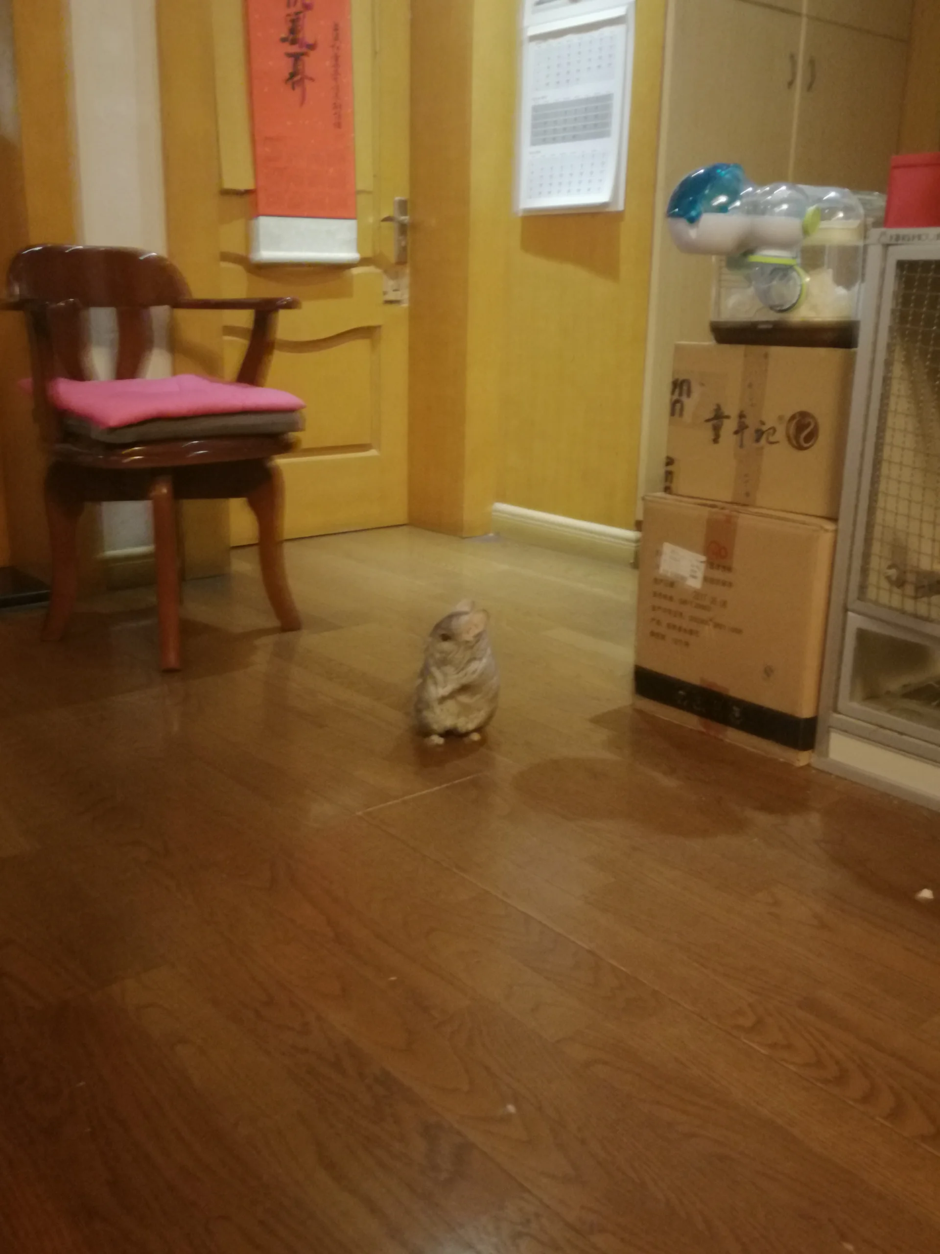 もっと見る