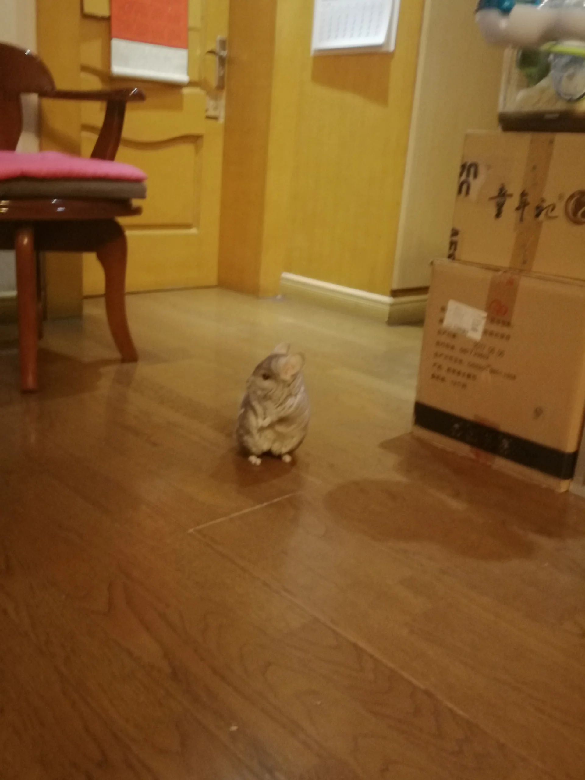 もっと見る
