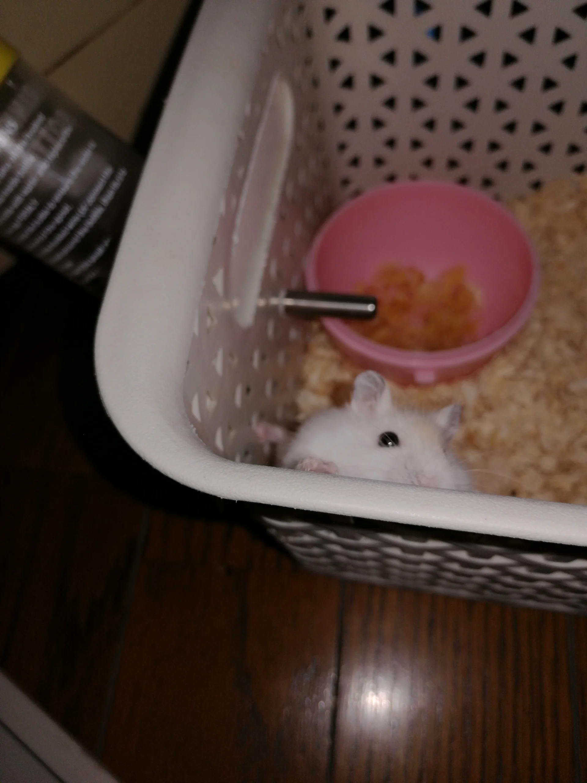 もっと見る