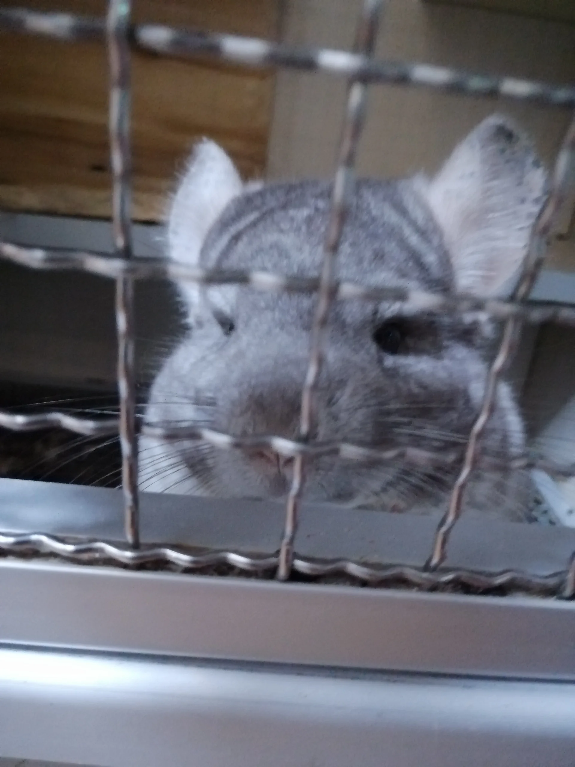 もっと見る