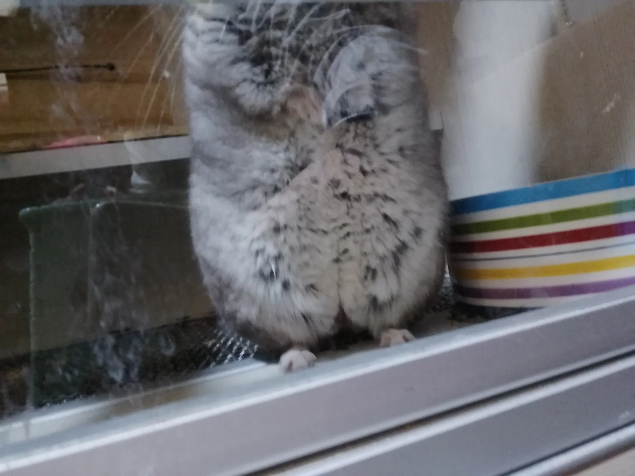 もっと見る
