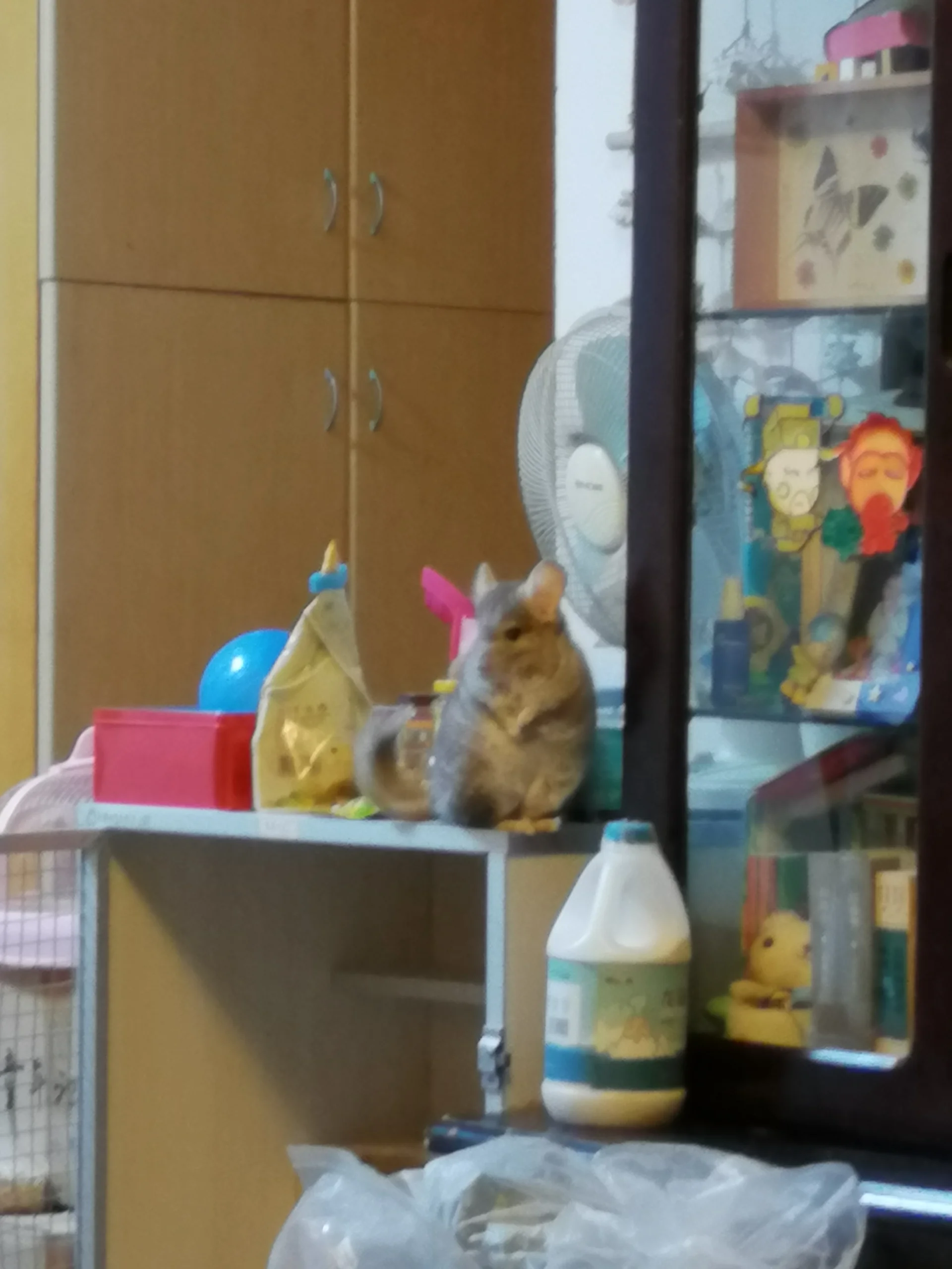 もっと見る