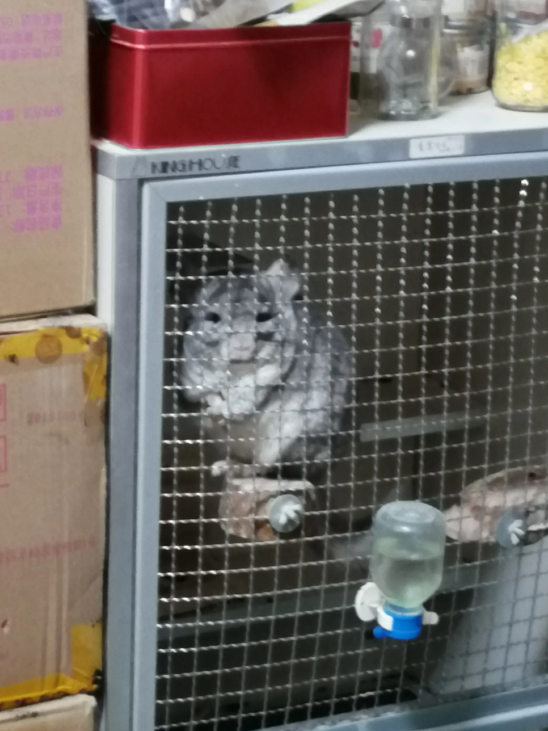 もっと見る
