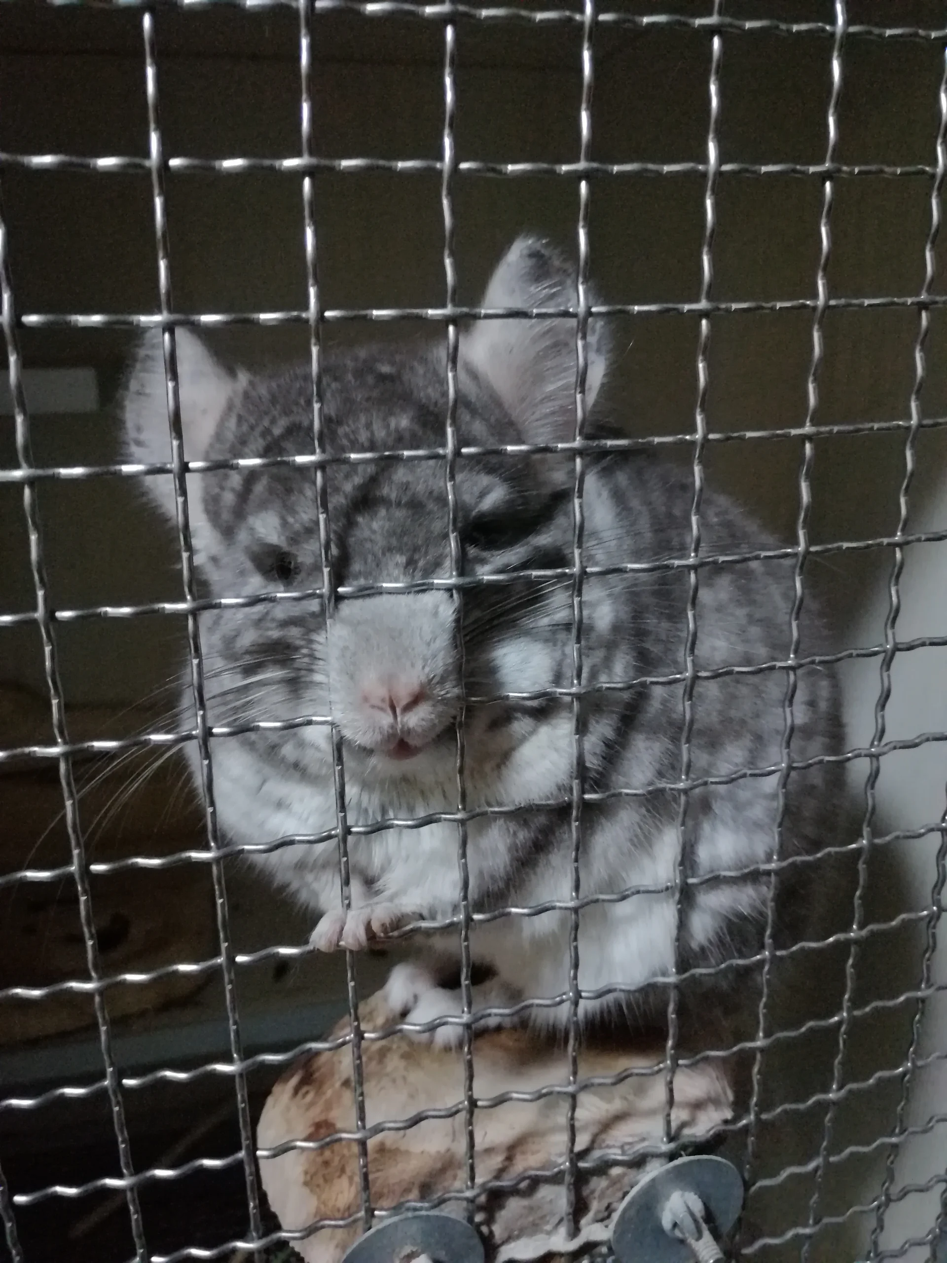 もっと見る